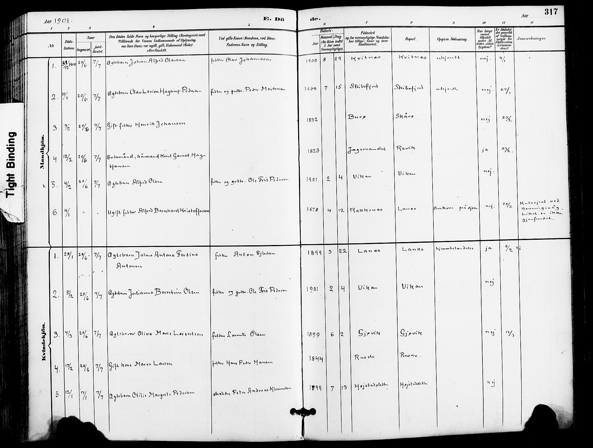 Karlsøy sokneprestembete, AV/SATØ-S-1299/H/Ha/Haa/L0007kirke: Parish register (official) no. 7, 1891-1902, p. 317