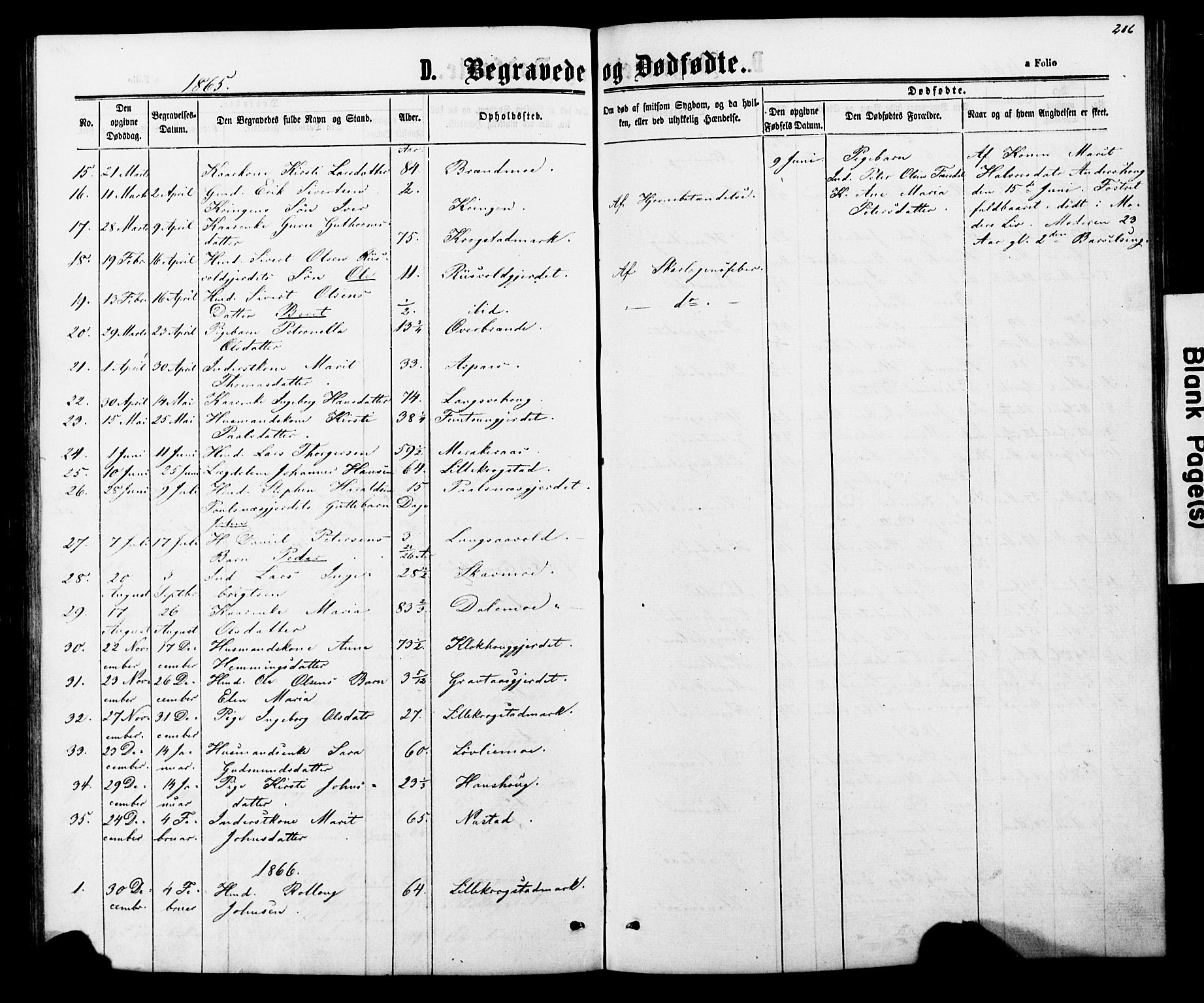 Ministerialprotokoller, klokkerbøker og fødselsregistre - Nord-Trøndelag, SAT/A-1458/706/L0049: Parish register (copy) no. 706C01, 1864-1895, p. 206