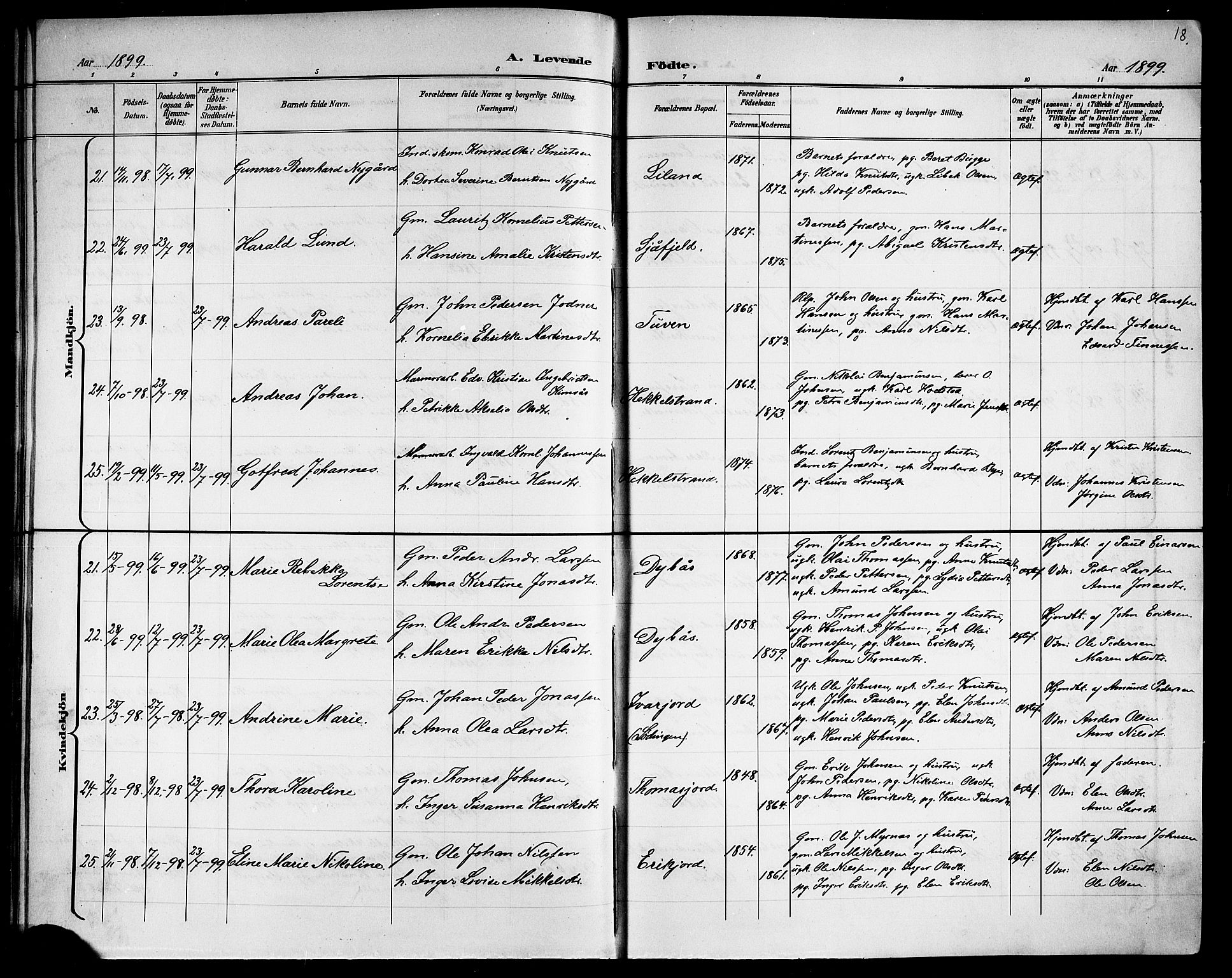 Ministerialprotokoller, klokkerbøker og fødselsregistre - Nordland, AV/SAT-A-1459/863/L0915: Parish register (copy) no. 863C05, 1898-1907, p. 18