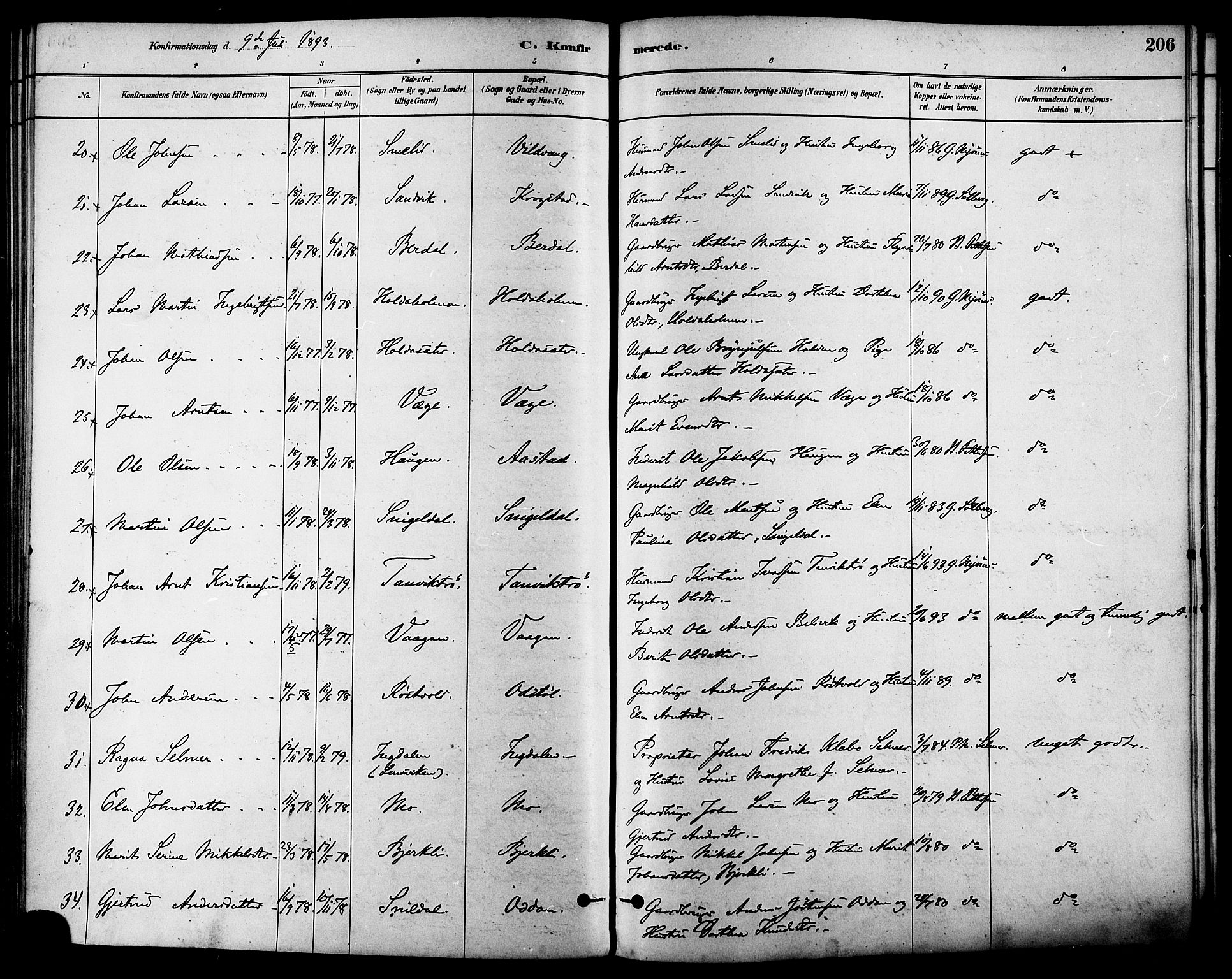 Ministerialprotokoller, klokkerbøker og fødselsregistre - Sør-Trøndelag, AV/SAT-A-1456/630/L0496: Parish register (official) no. 630A09, 1879-1895, p. 206