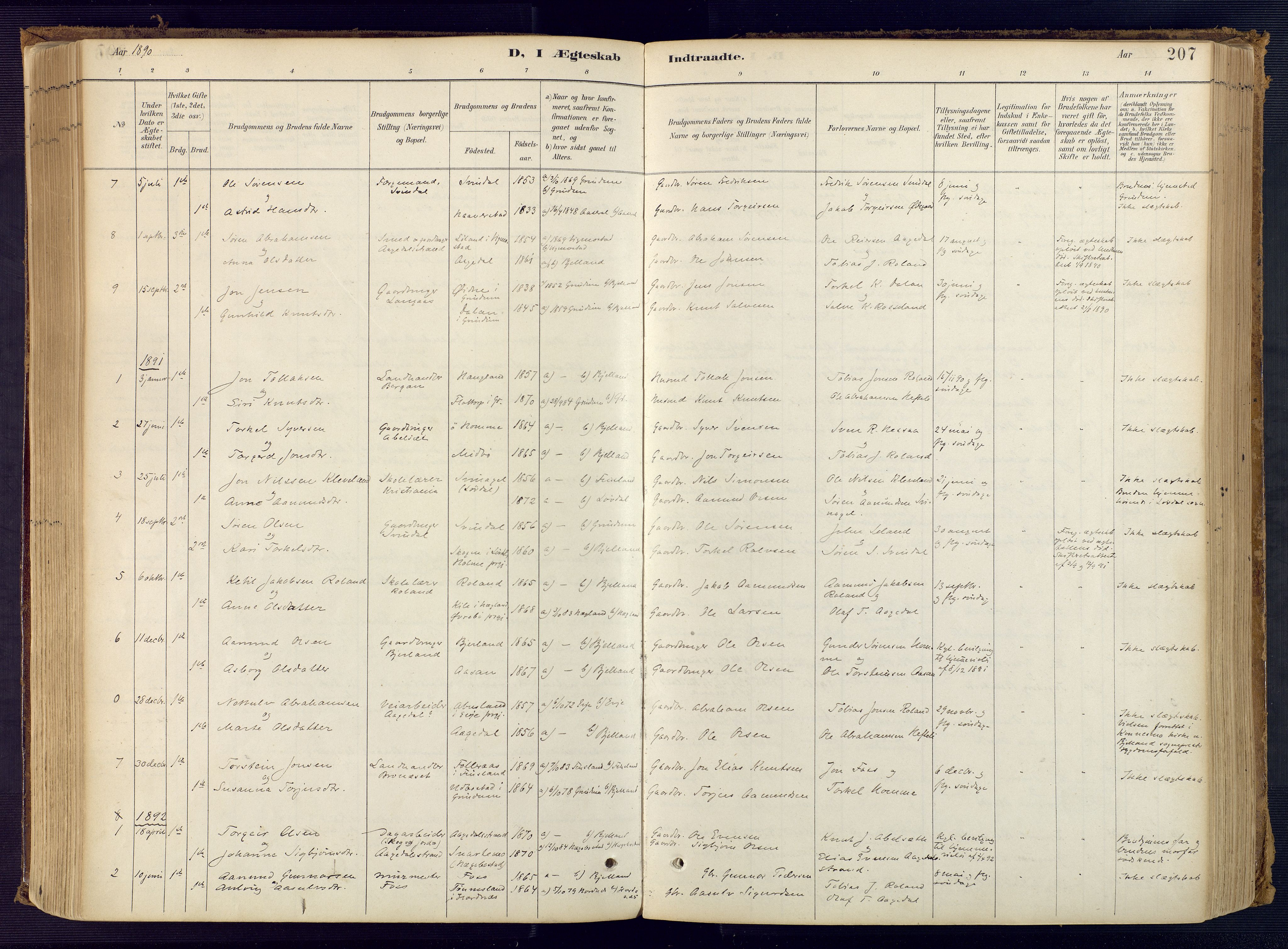Bjelland sokneprestkontor, SAK/1111-0005/F/Fa/Faa/L0004: Parish register (official) no. A 4, 1887-1923, p. 207