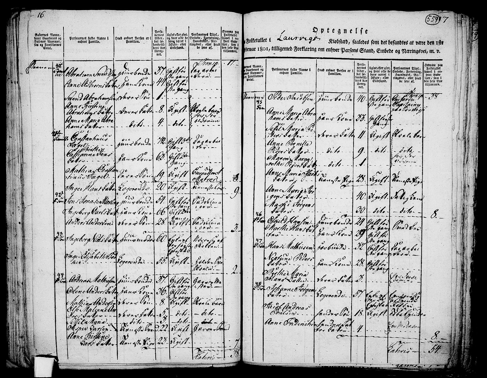 RA, 1801 census for 0707P Larvik, 1801, p. 558b-559a