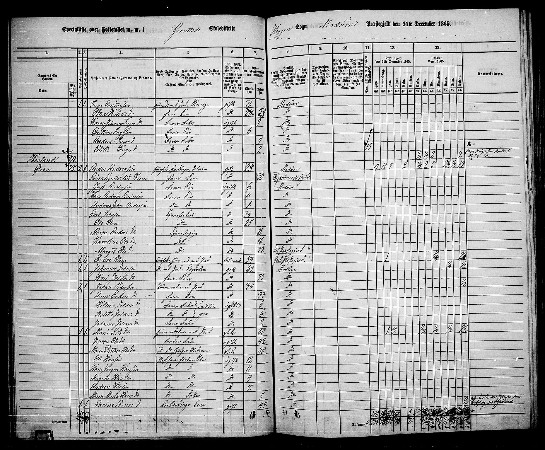 RA, 1865 census for Modum, 1865, p. 61