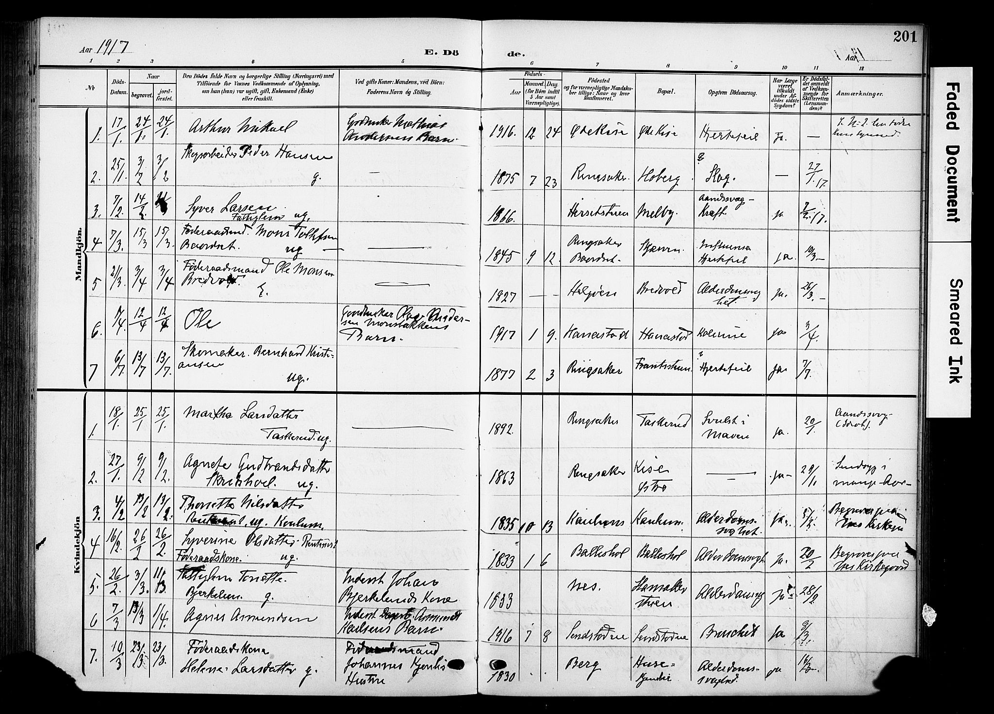 Nes prestekontor, Hedmark, AV/SAH-PREST-020/K/Ka/L0013: Parish register (official) no. 13, 1906-1924, p. 201