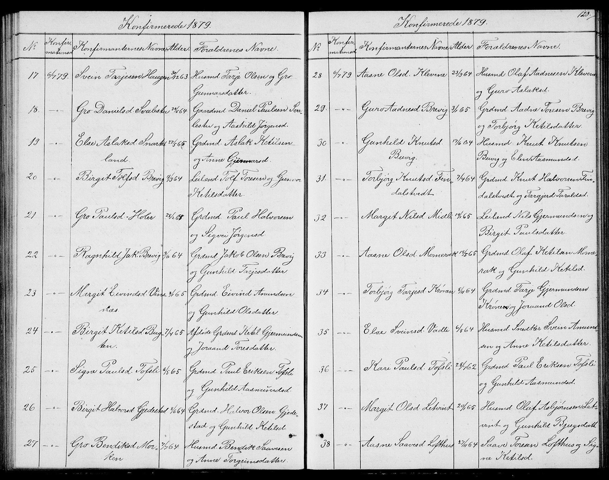 Fyresdal kirkebøker, SAKO/A-263/G/Ga/L0004: Parish register (copy) no. I 4, 1864-1892, p. 120