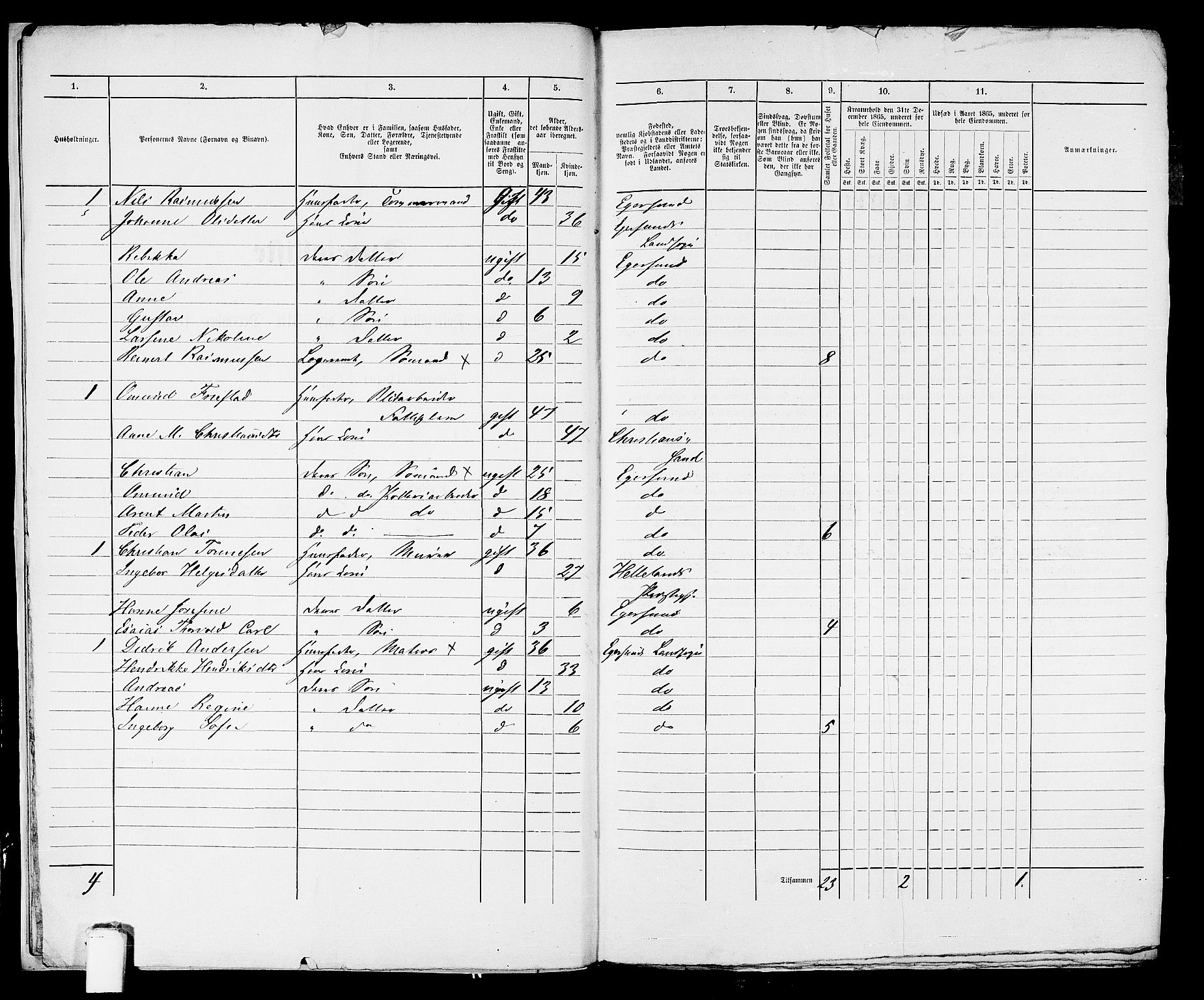 RA, 1865 census for Eigersund parish, Egersund town, 1865, p. 13