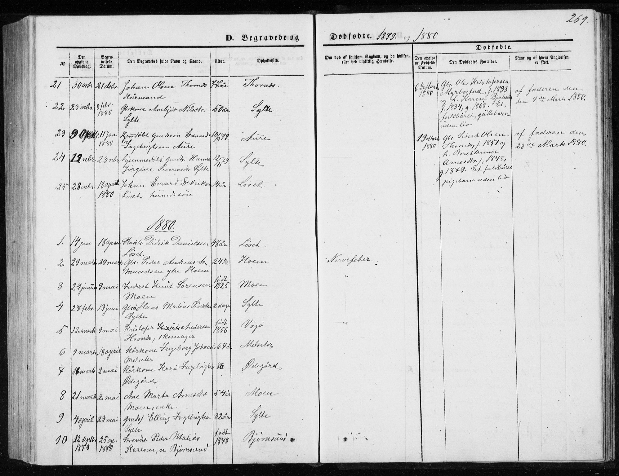 Ministerialprotokoller, klokkerbøker og fødselsregistre - Møre og Romsdal, AV/SAT-A-1454/565/L0754: Parish register (copy) no. 565C03, 1870-1896, p. 269