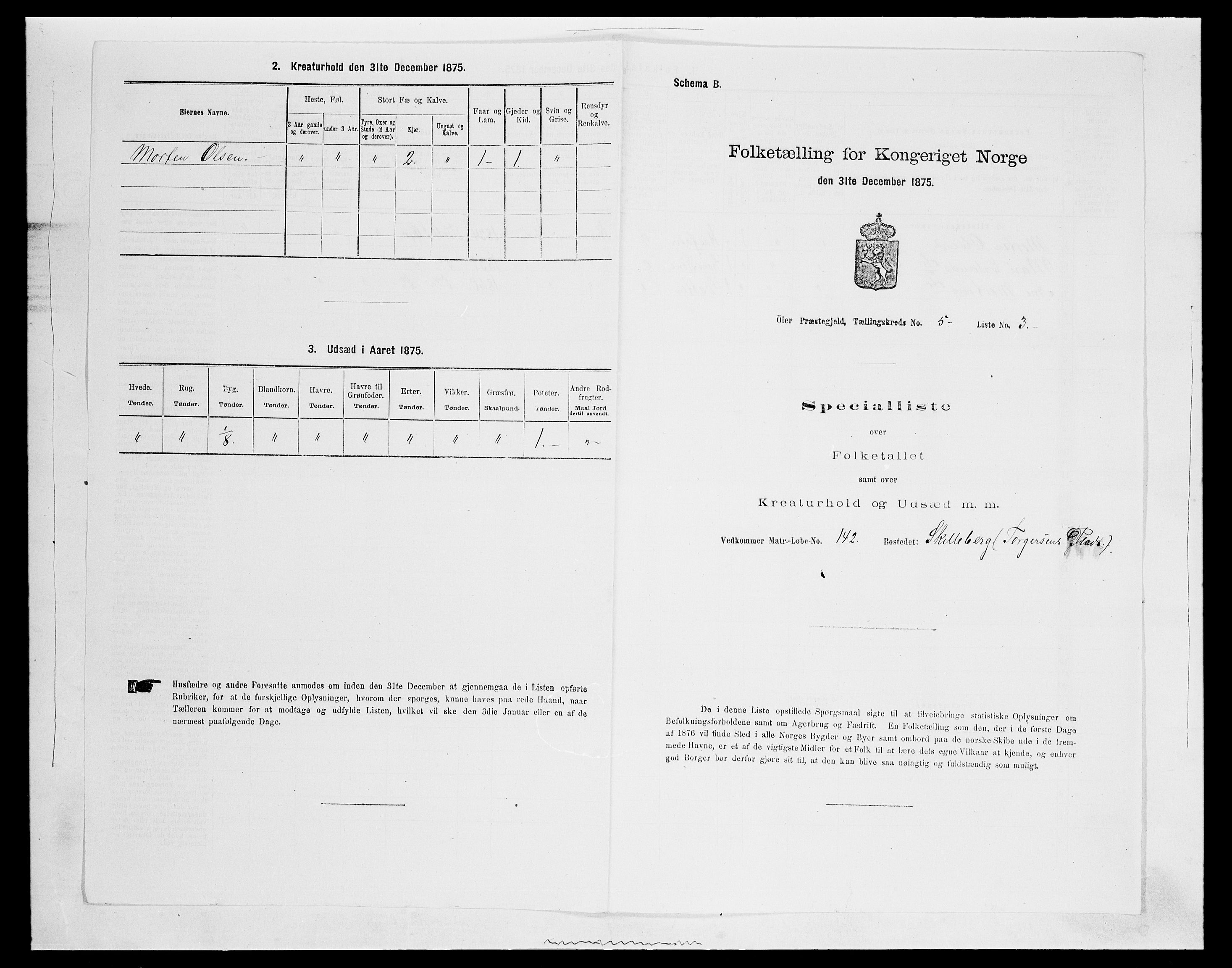 SAH, 1875 census for 0521P Øyer, 1875, p. 960