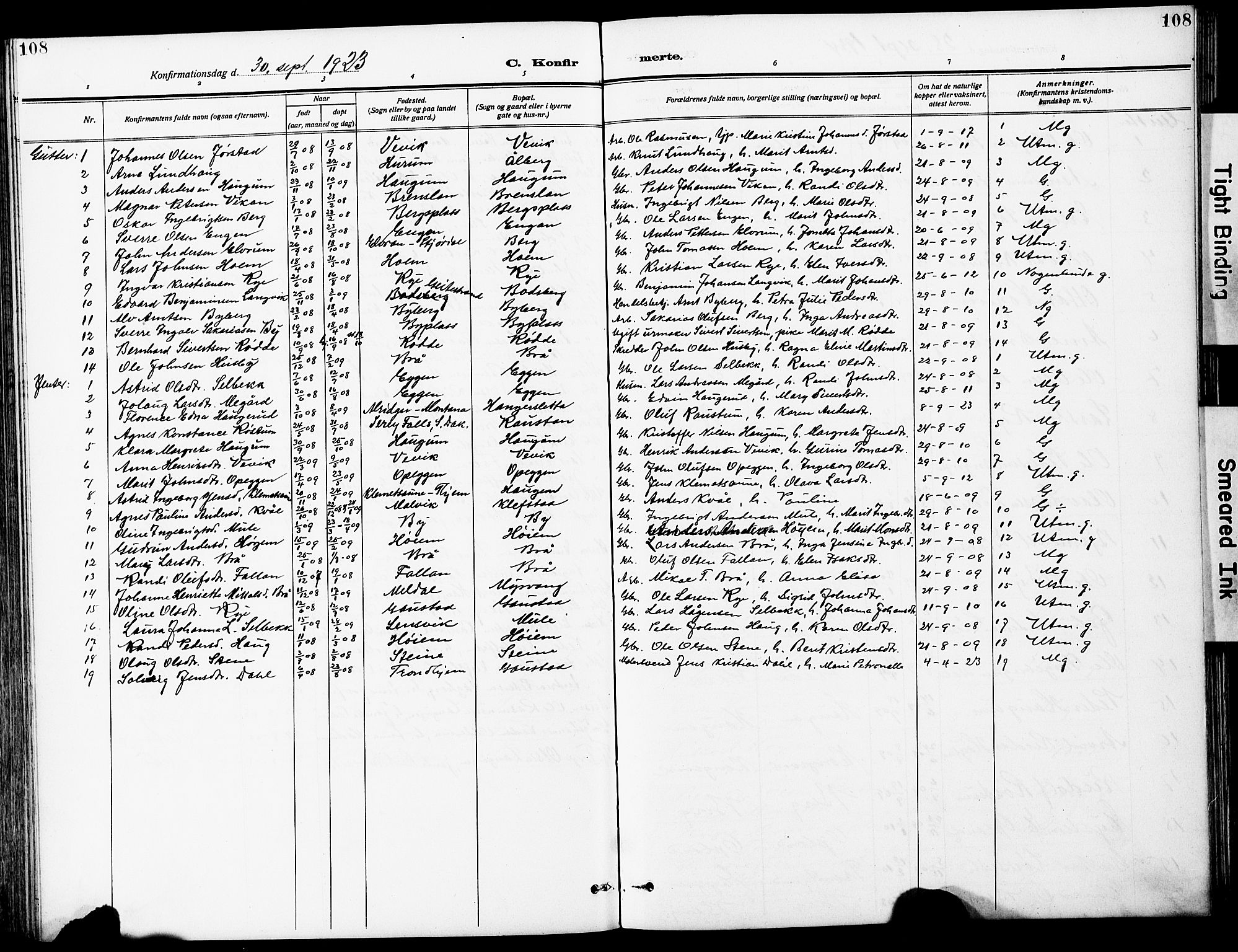 Ministerialprotokoller, klokkerbøker og fødselsregistre - Sør-Trøndelag, SAT/A-1456/612/L0388: Parish register (copy) no. 612C04, 1909-1929, p. 108