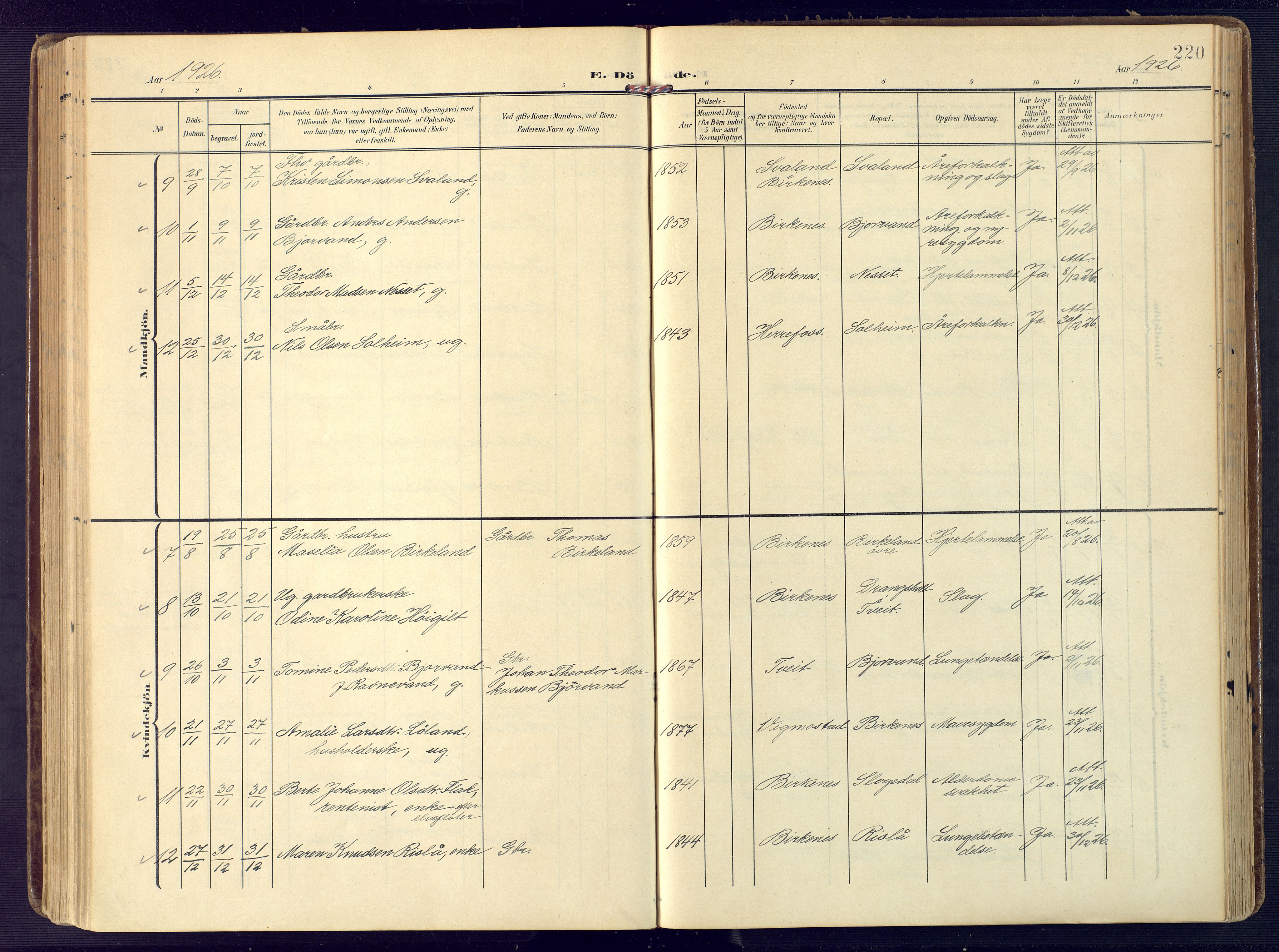 Birkenes sokneprestkontor, AV/SAK-1111-0004/F/Fa/L0006: Parish register (official) no. A 6, 1908-1932, p. 220