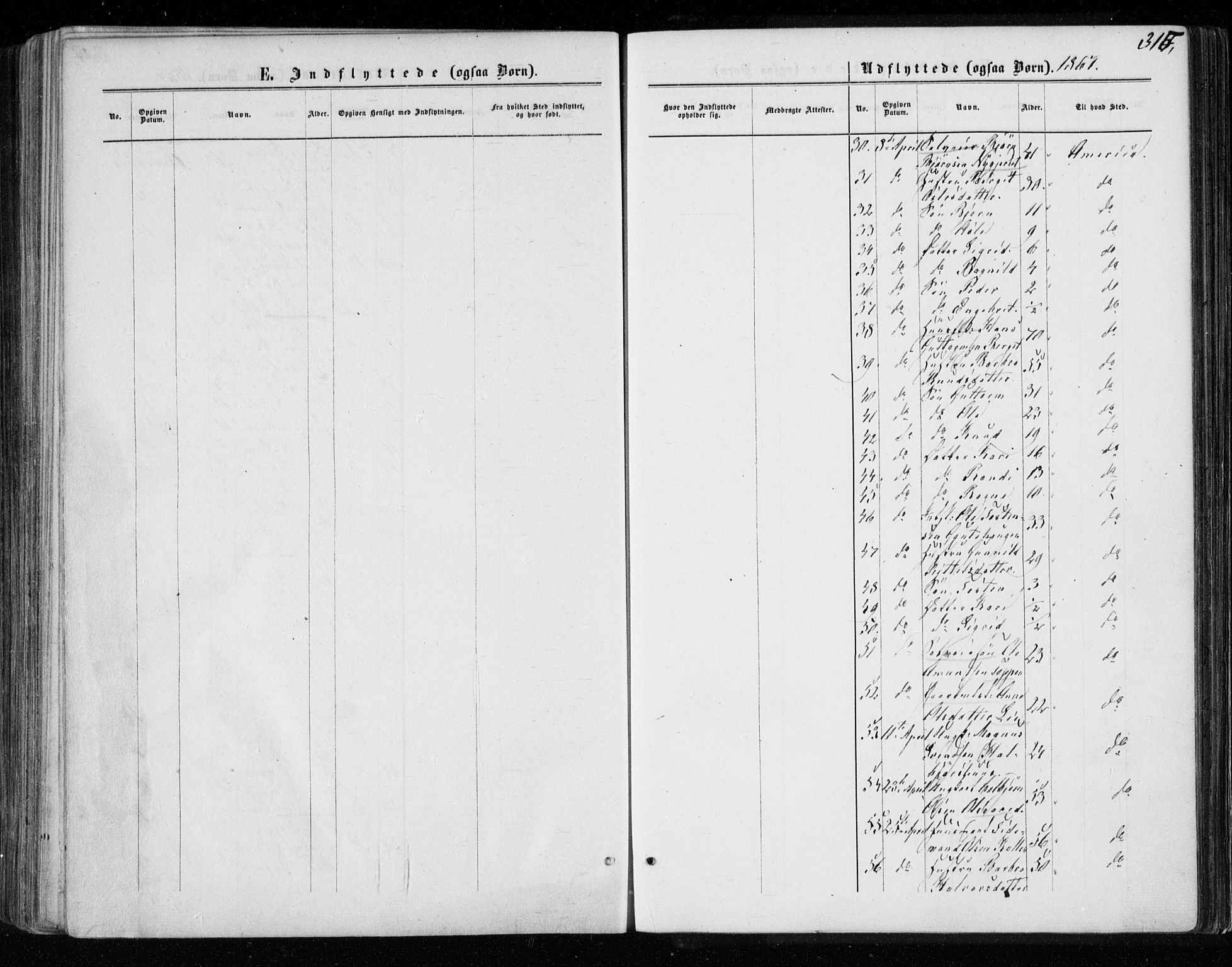 Gol kirkebøker, AV/SAKO-A-226/F/Fa/L0003: Parish register (official) no. I 3, 1863-1875, p. 315