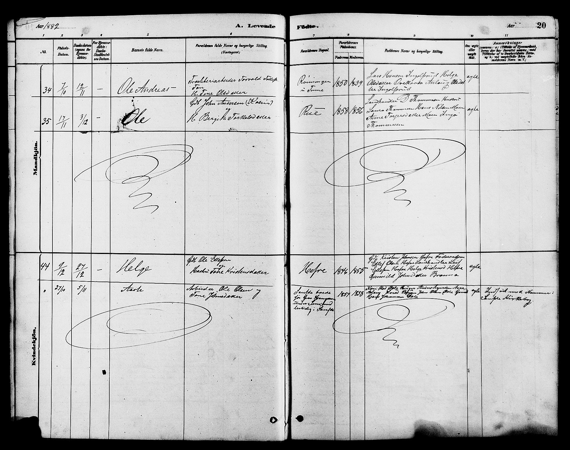 Heddal kirkebøker, SAKO/A-268/G/Ga/L0002: Parish register (copy) no. I 2, 1879-1908, p. 20