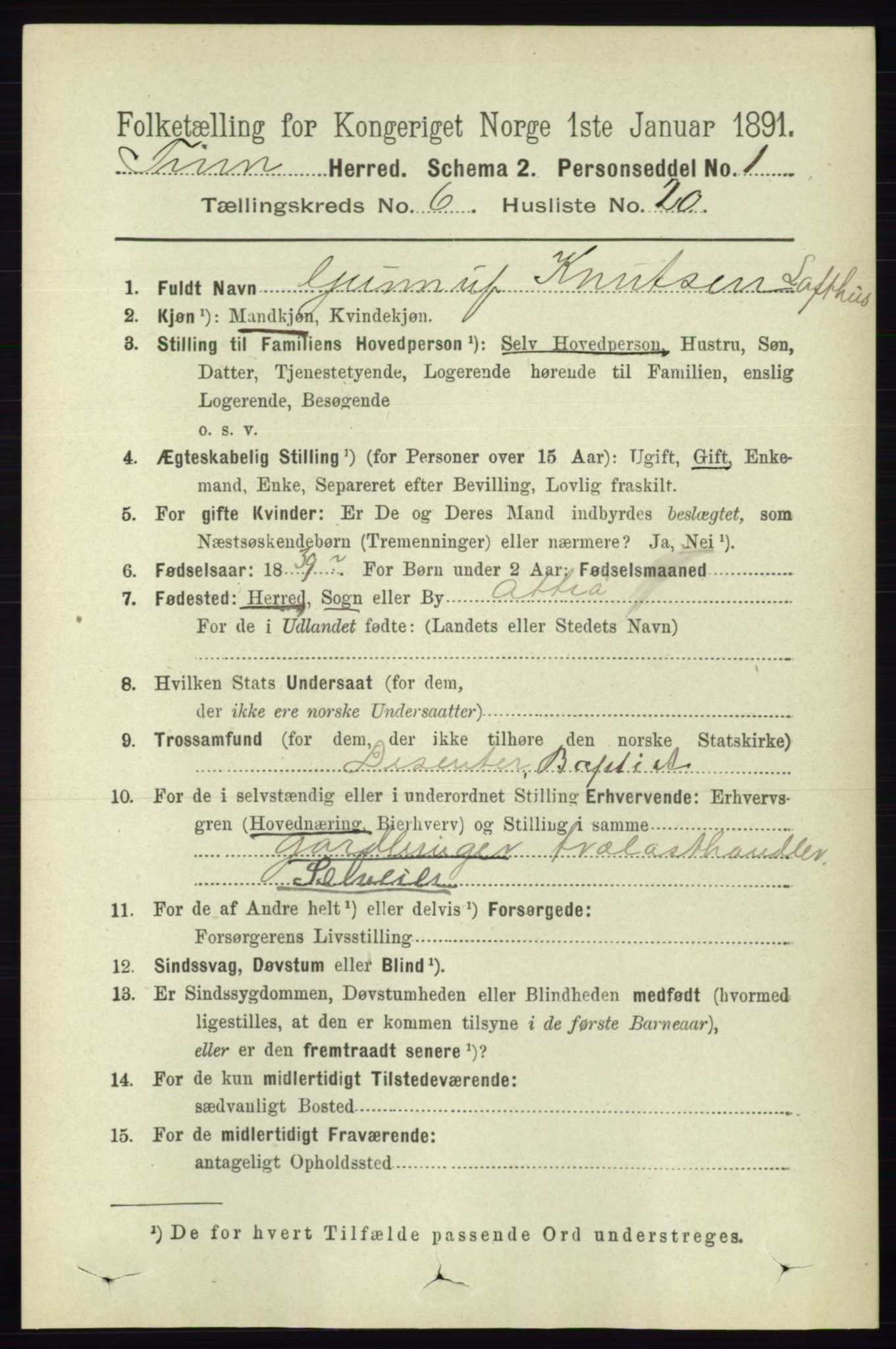 RA, 1891 census for 0826 Tinn, 1891, p. 1345