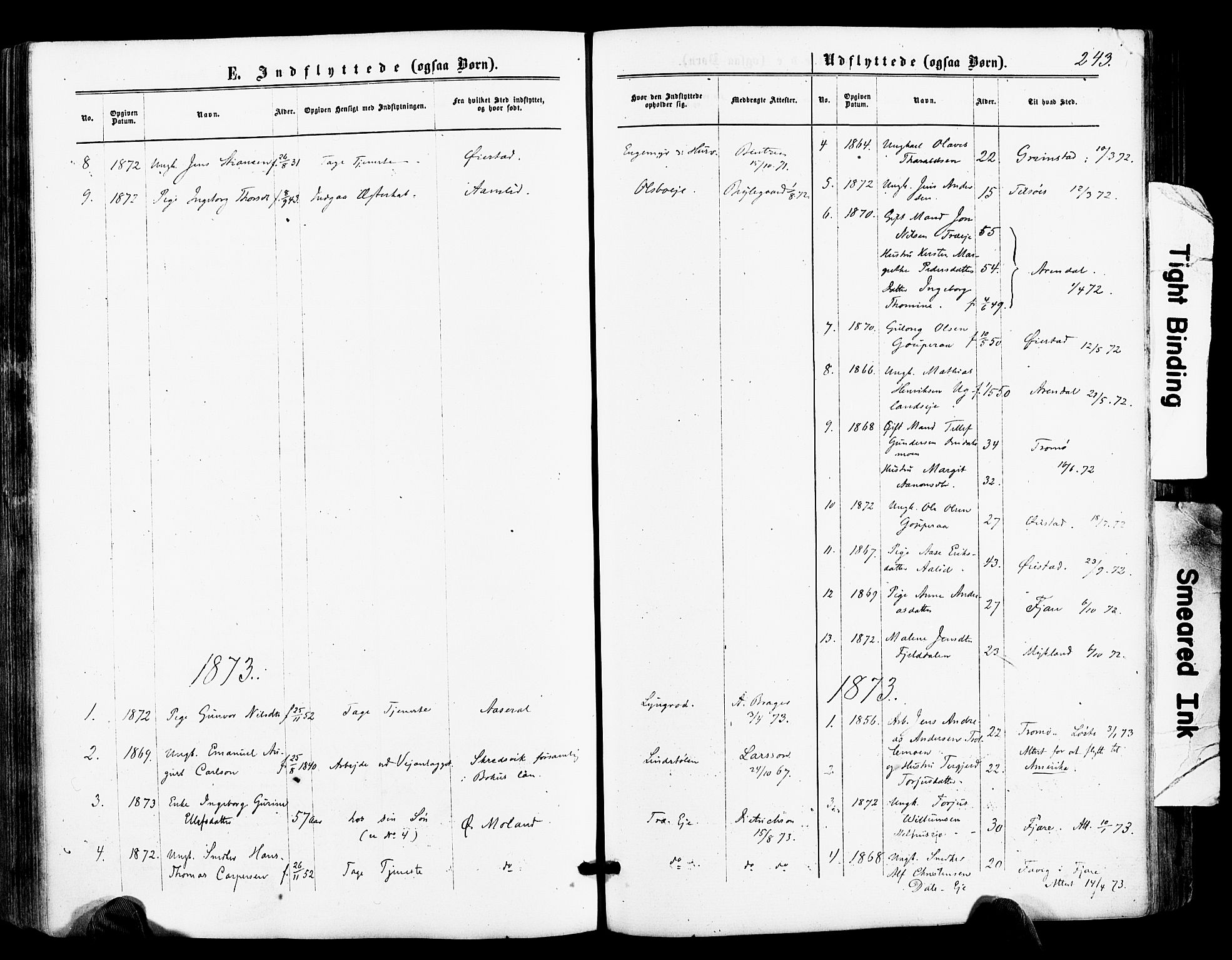 Froland sokneprestkontor, SAK/1111-0013/F/Fa/L0003: Parish register (official) no. A 3, 1864-1881, p. 243