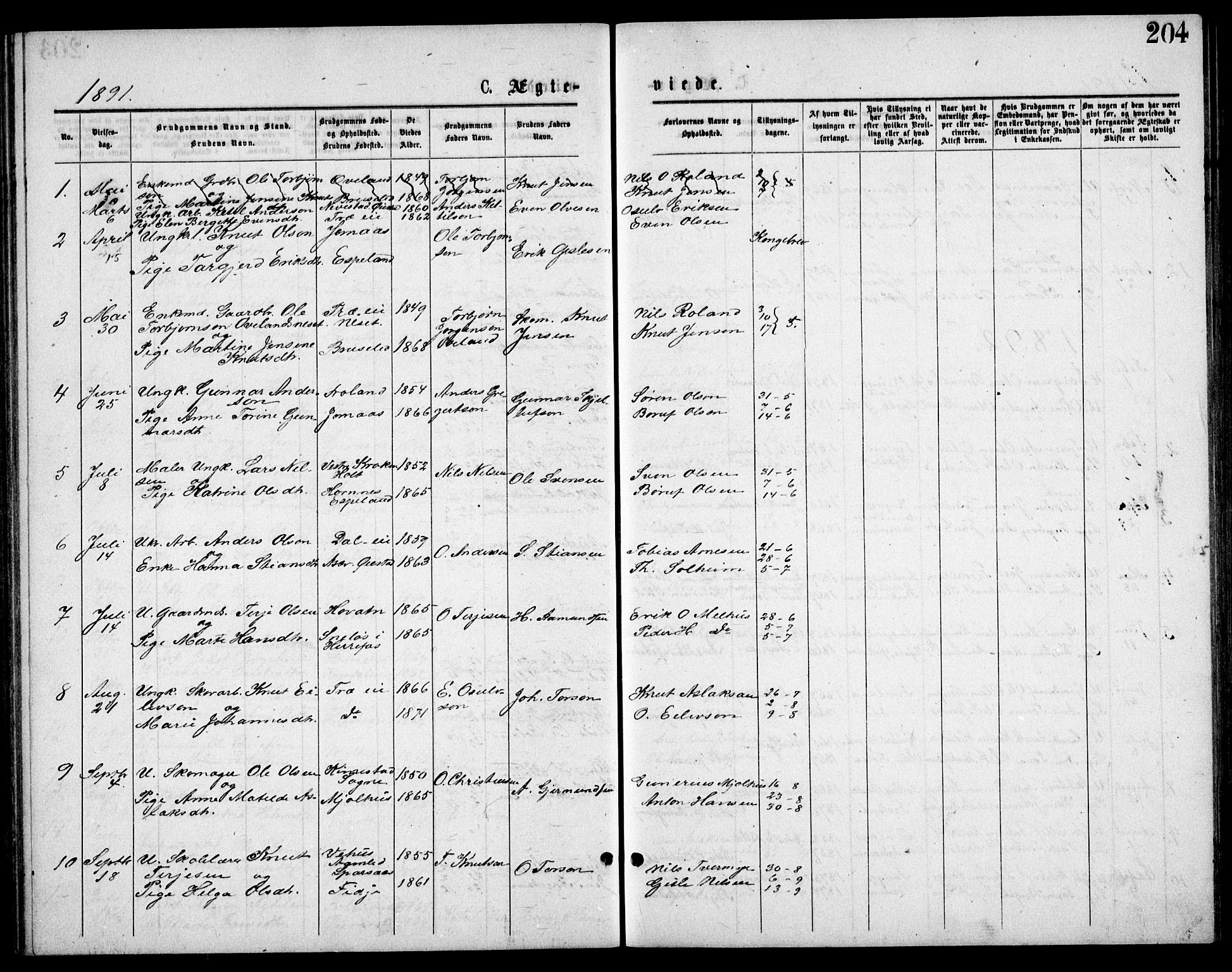 Froland sokneprestkontor, SAK/1111-0013/F/Fb/L0009: Parish register (copy) no. B 9, 1875-1893, p. 204