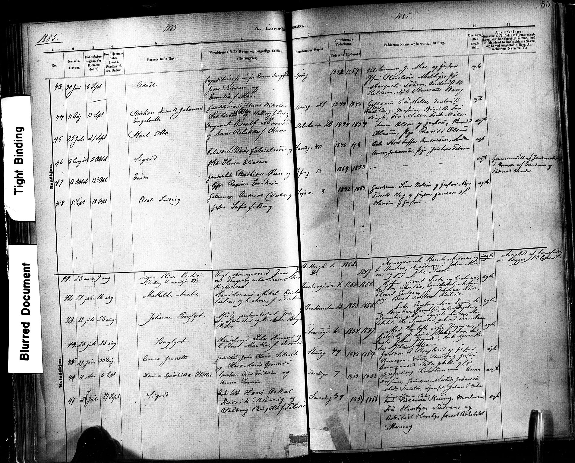 Ministerialprotokoller, klokkerbøker og fødselsregistre - Sør-Trøndelag, AV/SAT-A-1456/602/L0119: Parish register (official) no. 602A17, 1880-1901, p. 55