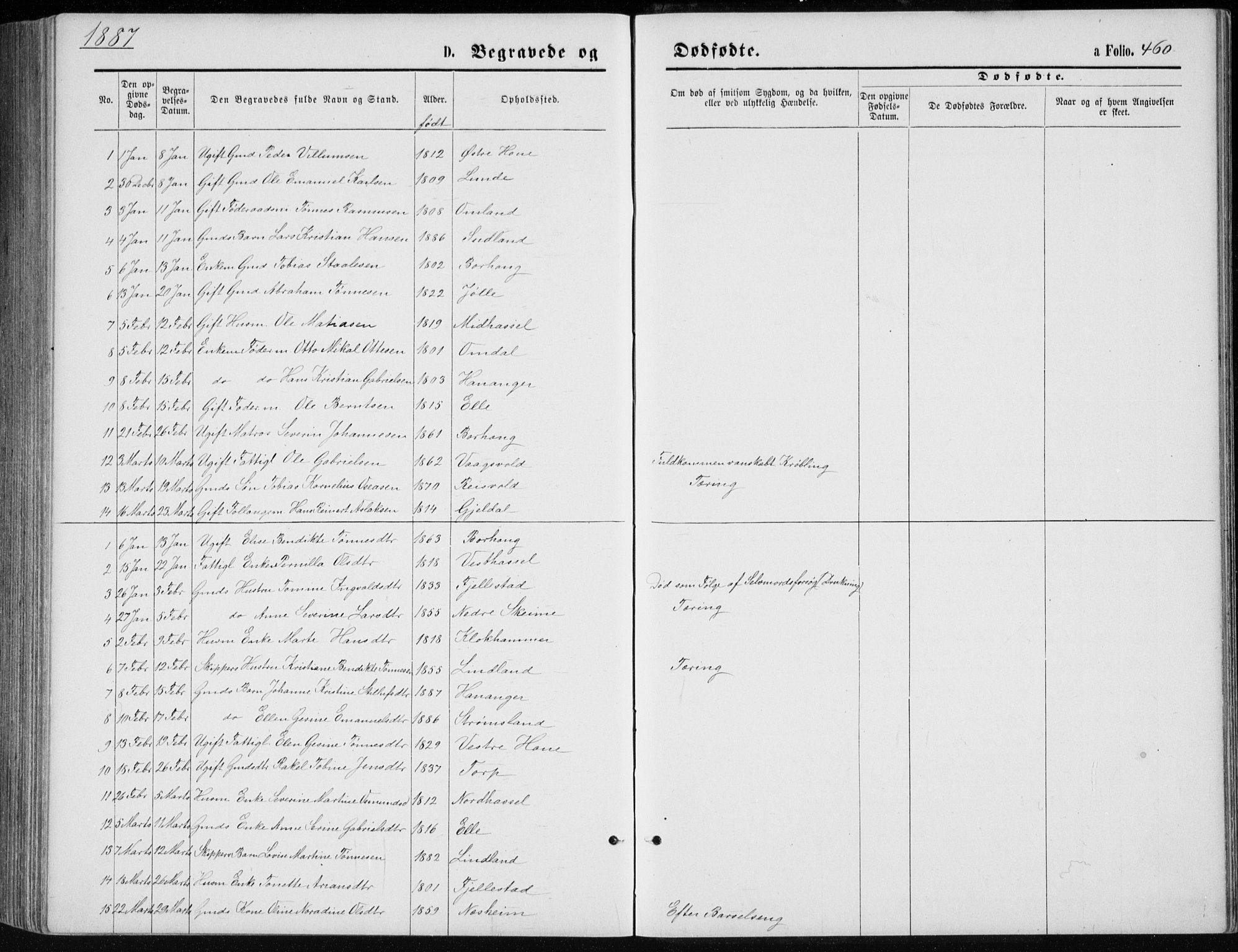 Lista sokneprestkontor, AV/SAK-1111-0027/F/Fb/L0004: Parish register (copy) no. B 4, 1877-1891, p. 460