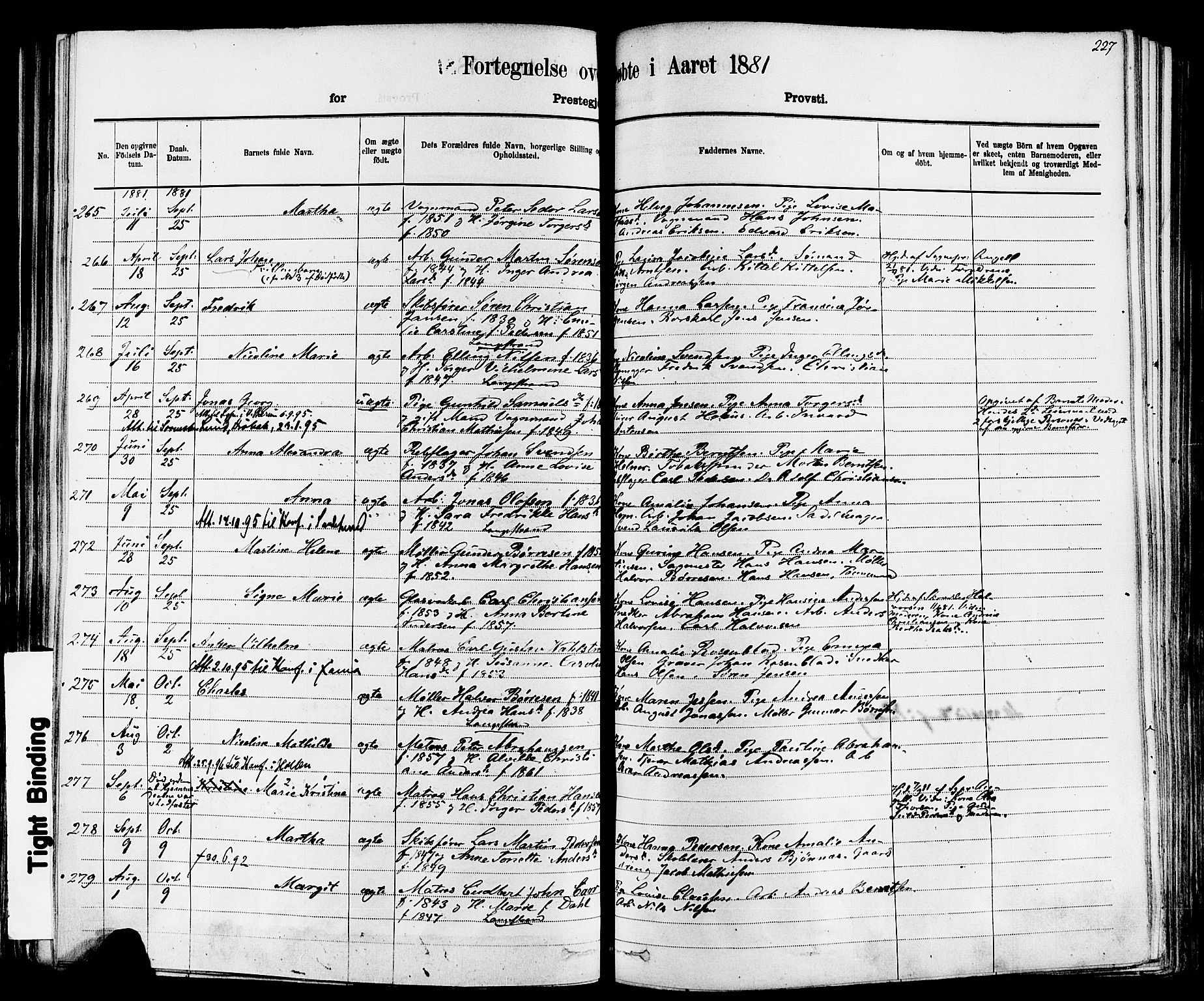 Larvik kirkebøker, AV/SAKO-A-352/F/Fa/L0006: Parish register (official) no. I 6, 1871-1883, p. 227