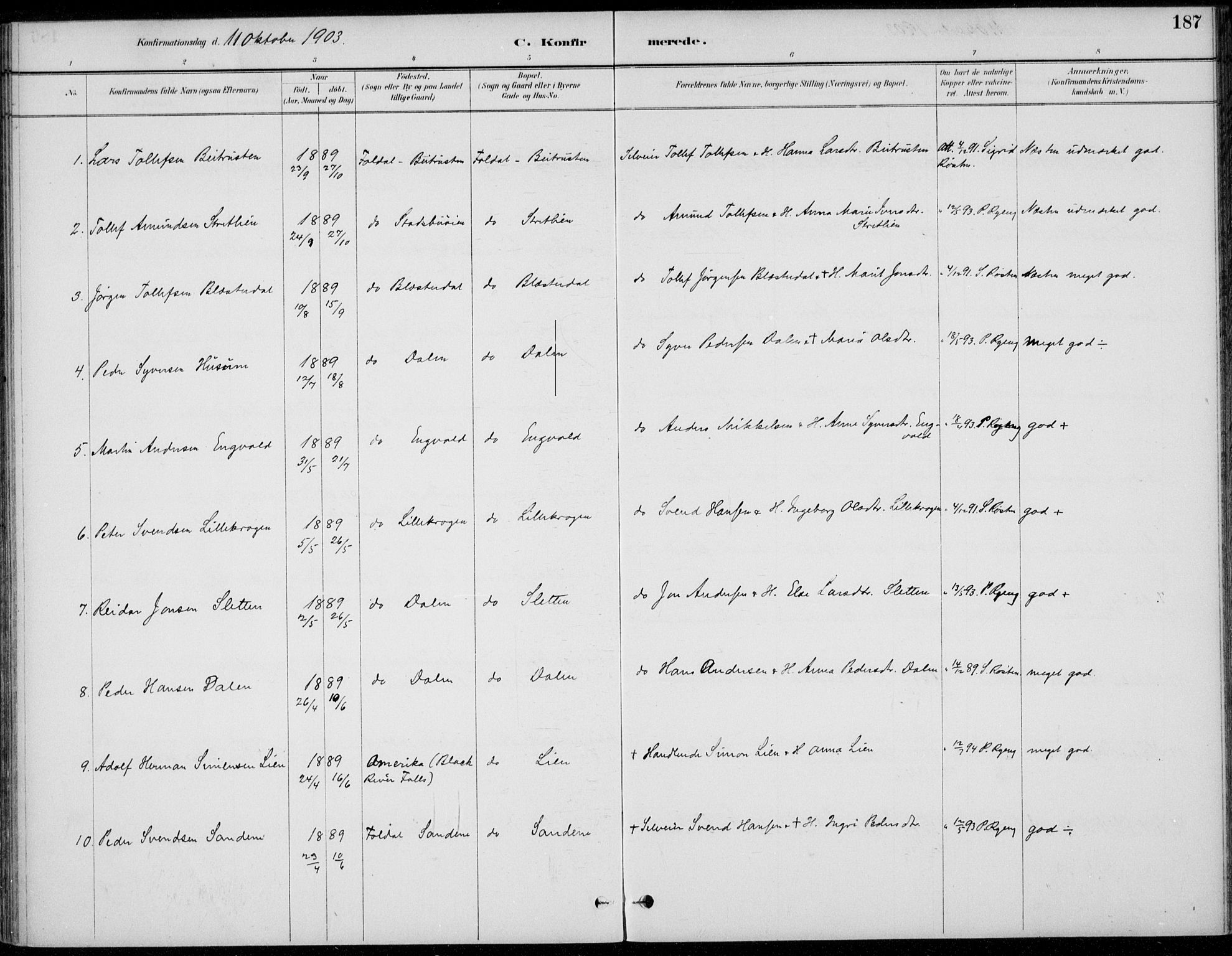 Alvdal prestekontor, SAH/PREST-060/H/Ha/Haa/L0003: Parish register (official) no. 3, 1886-1912, p. 187