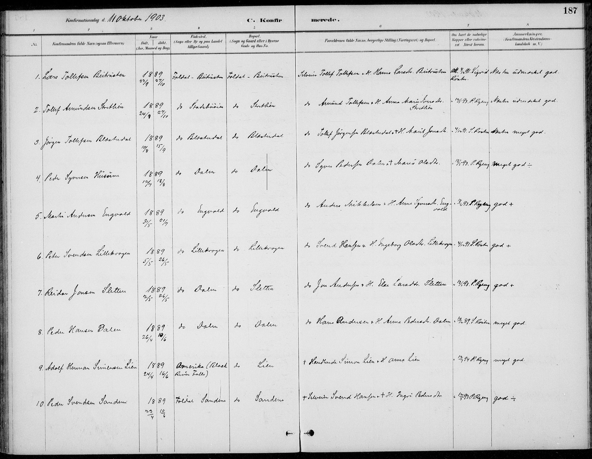 Alvdal prestekontor, AV/SAH-PREST-060/H/Ha/Haa/L0003: Parish register (official) no. 3, 1886-1912, p. 187