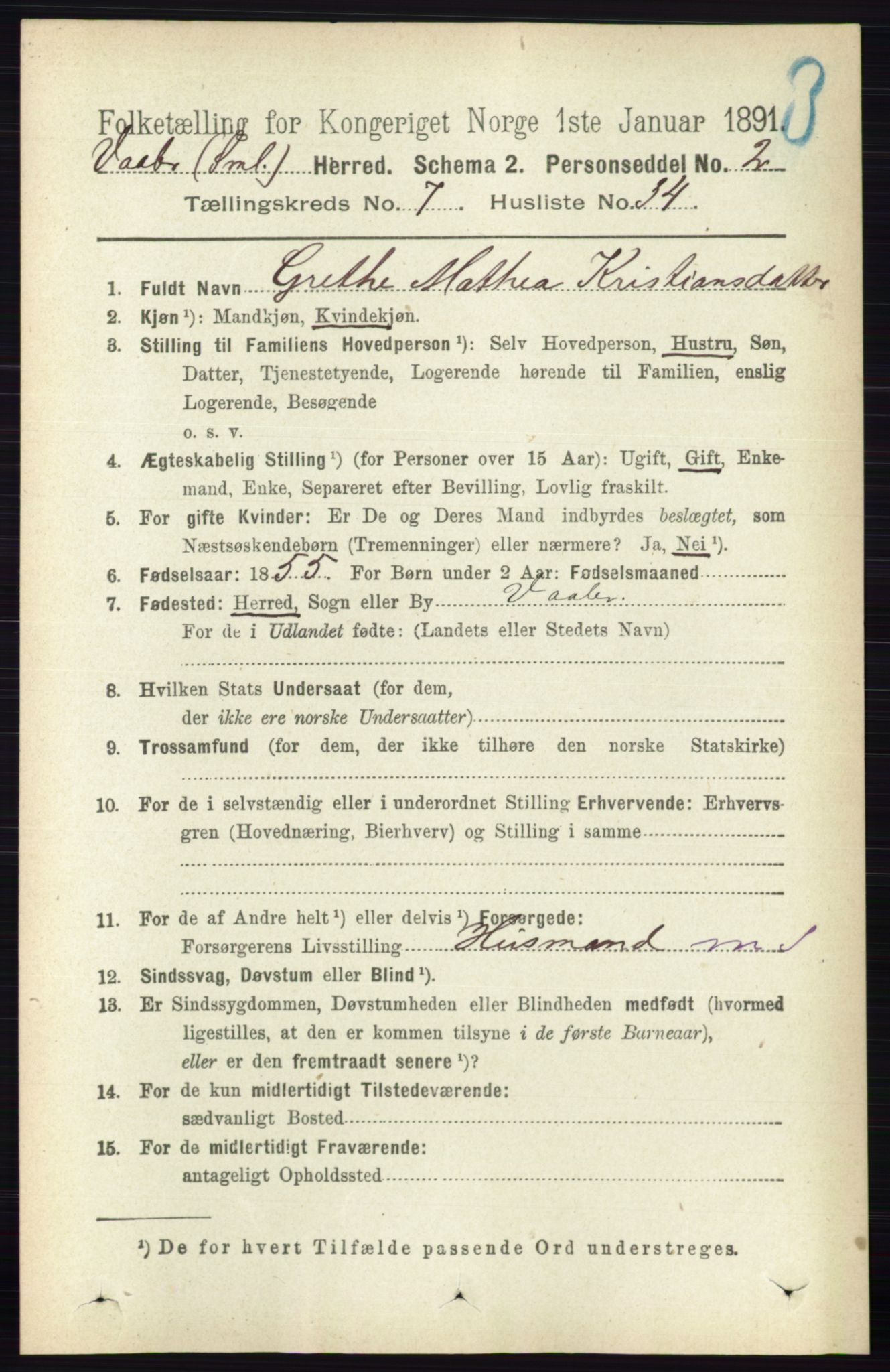 RA, 1891 census for 0137 Våler, 1891, p. 3060