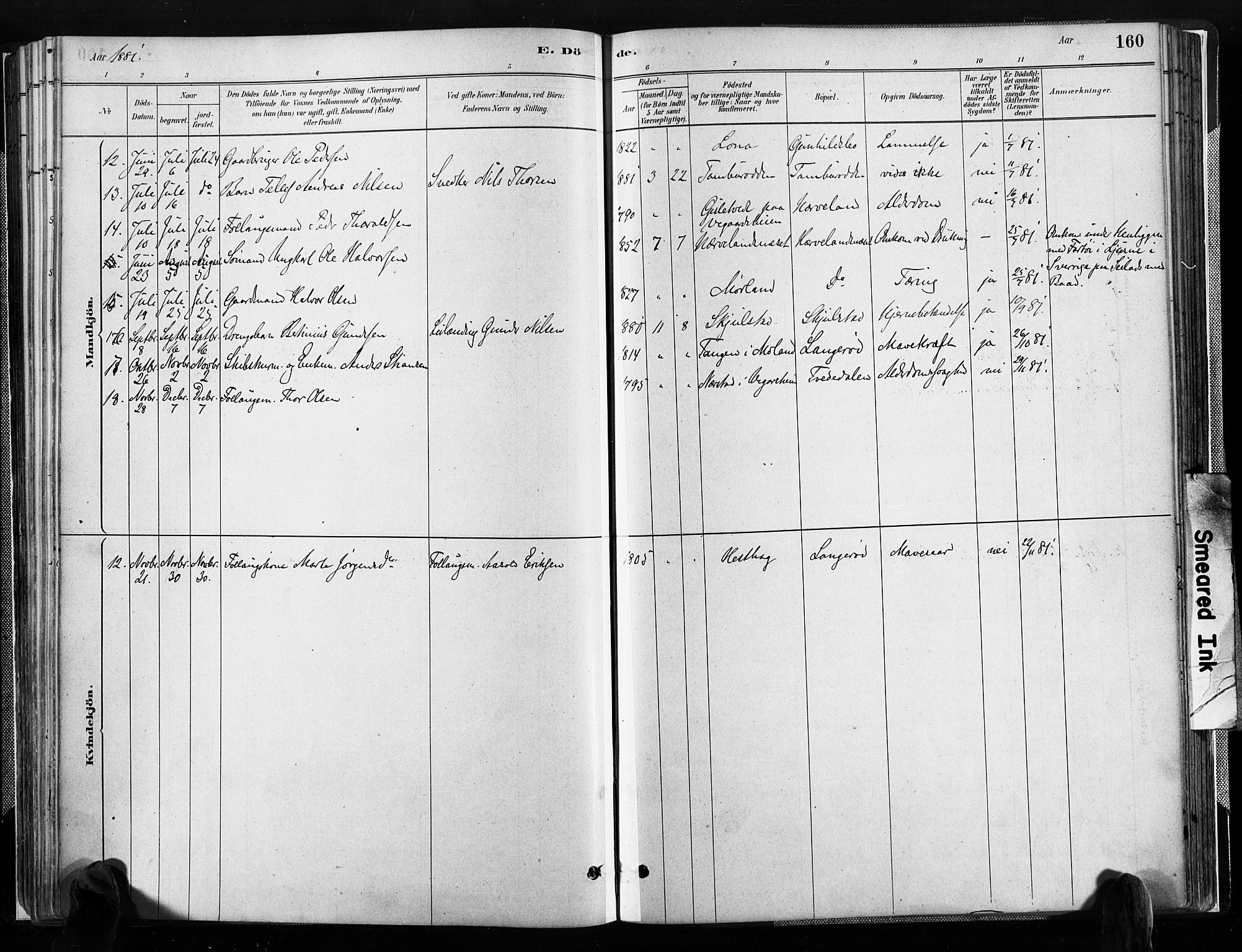 Austre Moland sokneprestkontor, SAK/1111-0001/F/Fa/Faa/L0010: Parish register (official) no. A 10, 1880-1904, p. 160