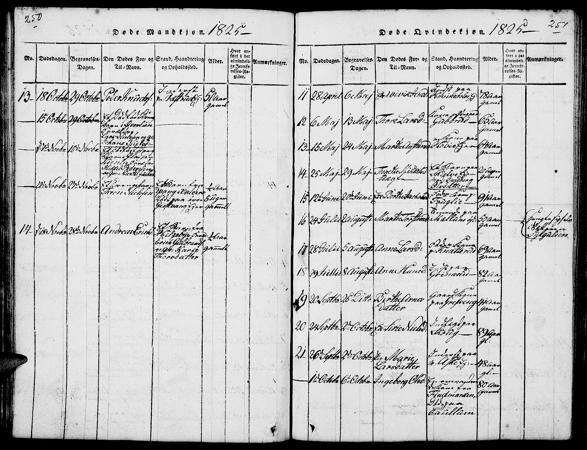 Nes prestekontor, Hedmark, AV/SAH-PREST-020/L/La/L0003: Parish register (copy) no. 3, 1814-1831, p. 250-251