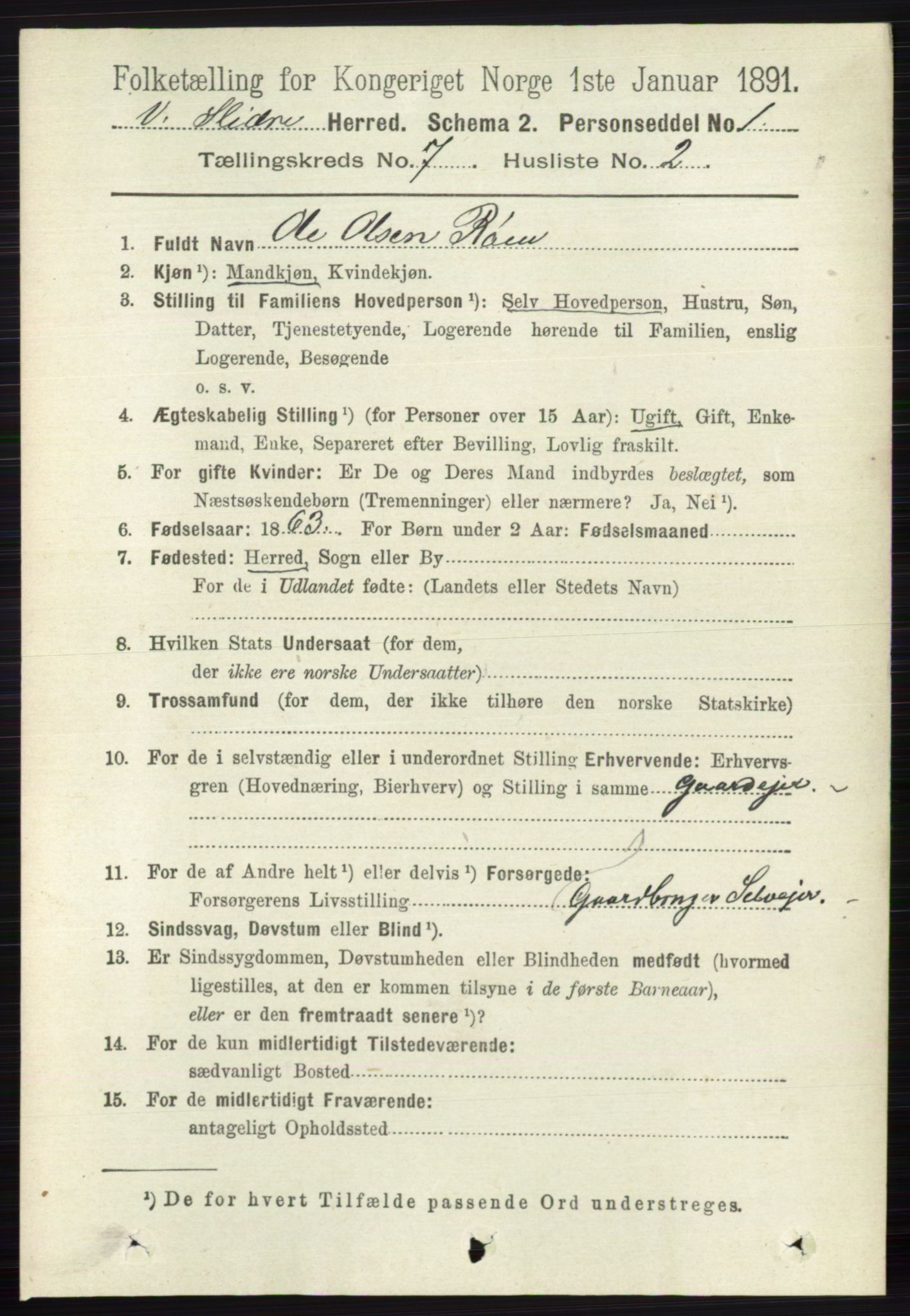 RA, 1891 census for 0543 Vestre Slidre, 1891, p. 2585