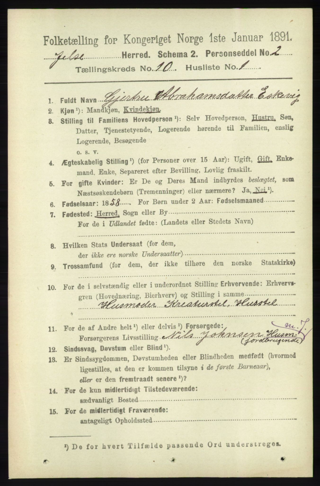 RA, 1891 census for 1138 Jelsa, 1891, p. 2428