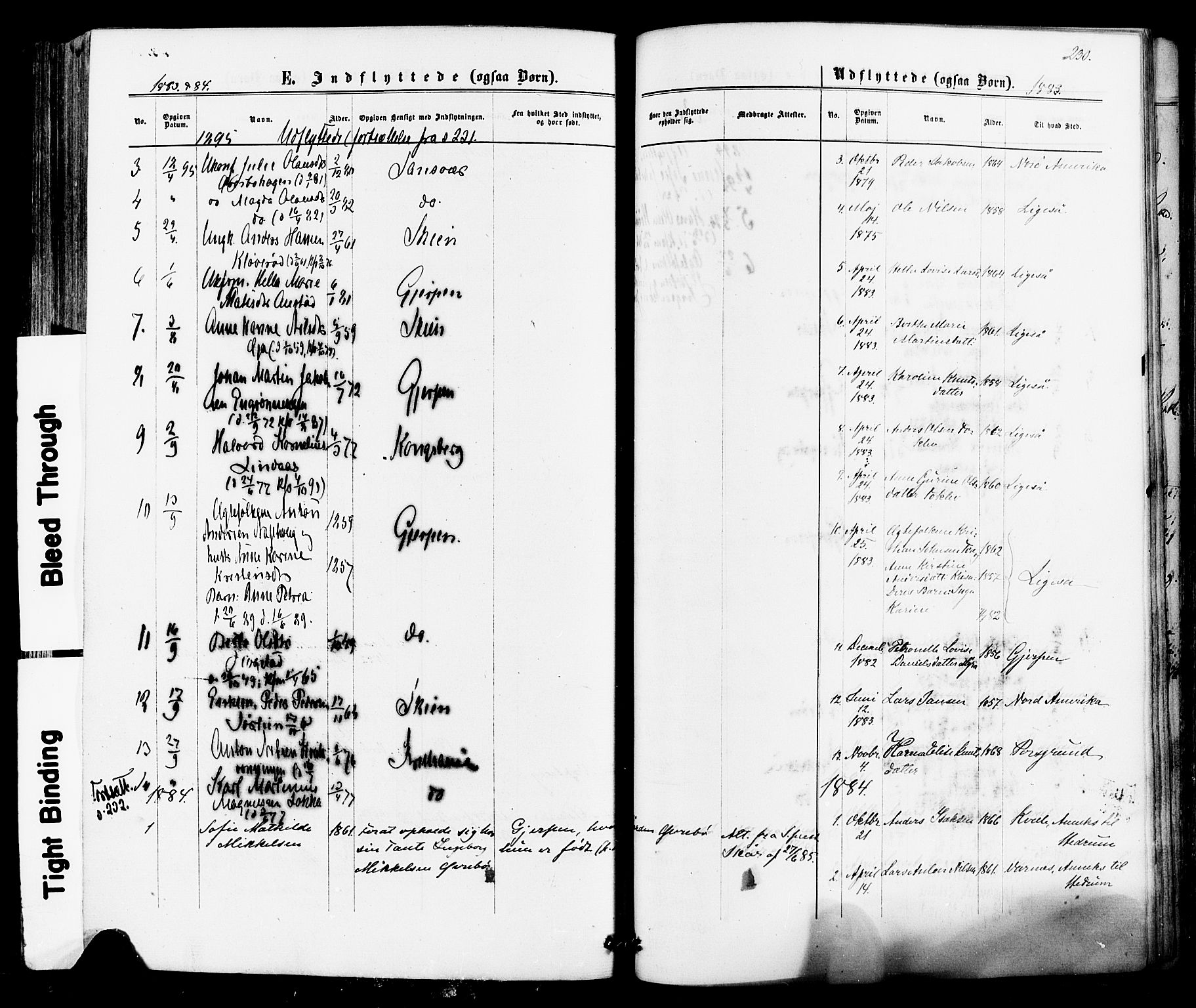 Siljan kirkebøker, SAKO/A-300/F/Fa/L0002: Parish register (official) no. 2, 1870-1895, p. 230