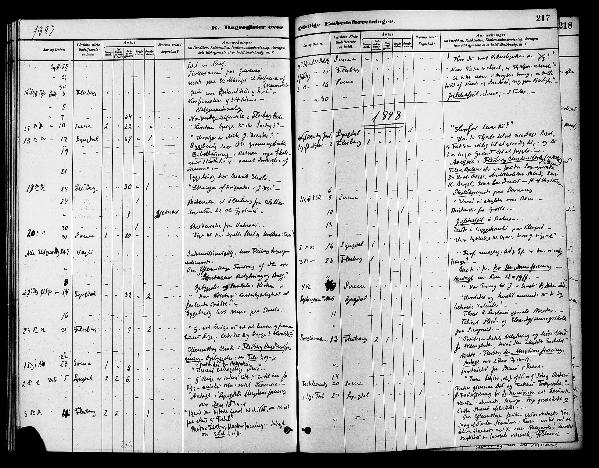 Flesberg kirkebøker, AV/SAKO-A-18/F/Fb/L0001: Parish register (official) no. II 1, 1879-1907, p. 217