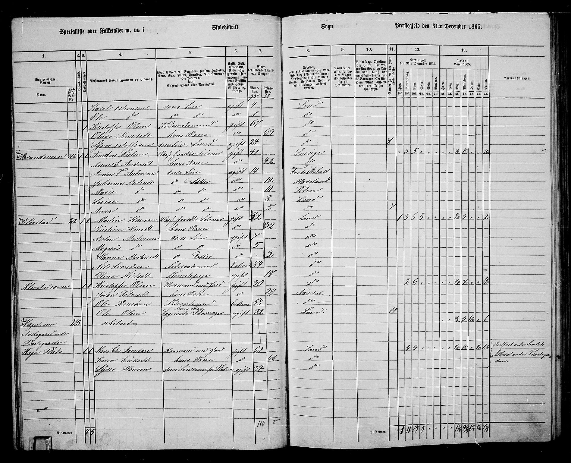 RA, 1865 census for Land, 1865, p. 288