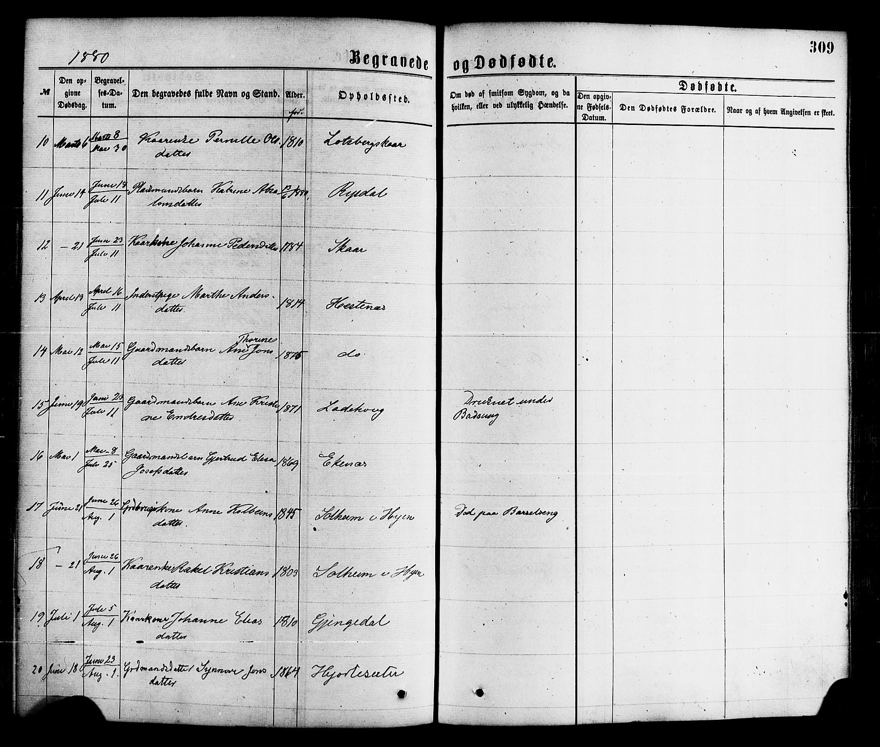 Gloppen sokneprestembete, SAB/A-80101/H/Haa/Haaa/L0010: Parish register (official) no. A 10, 1871-1884, p. 309