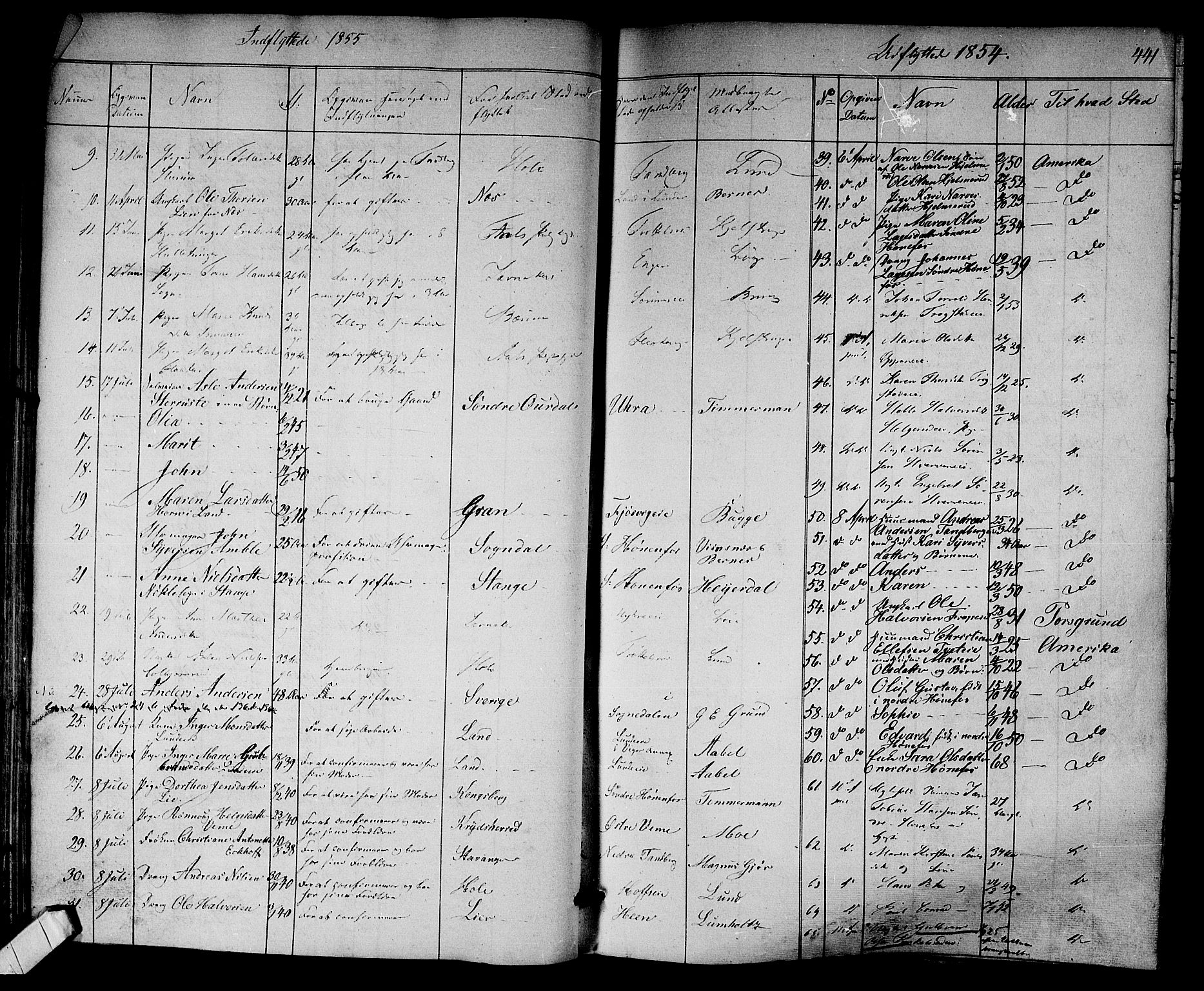 Norderhov kirkebøker, SAKO/A-237/F/Fa/L0011: Parish register (official) no. 11, 1847-1856, p. 441