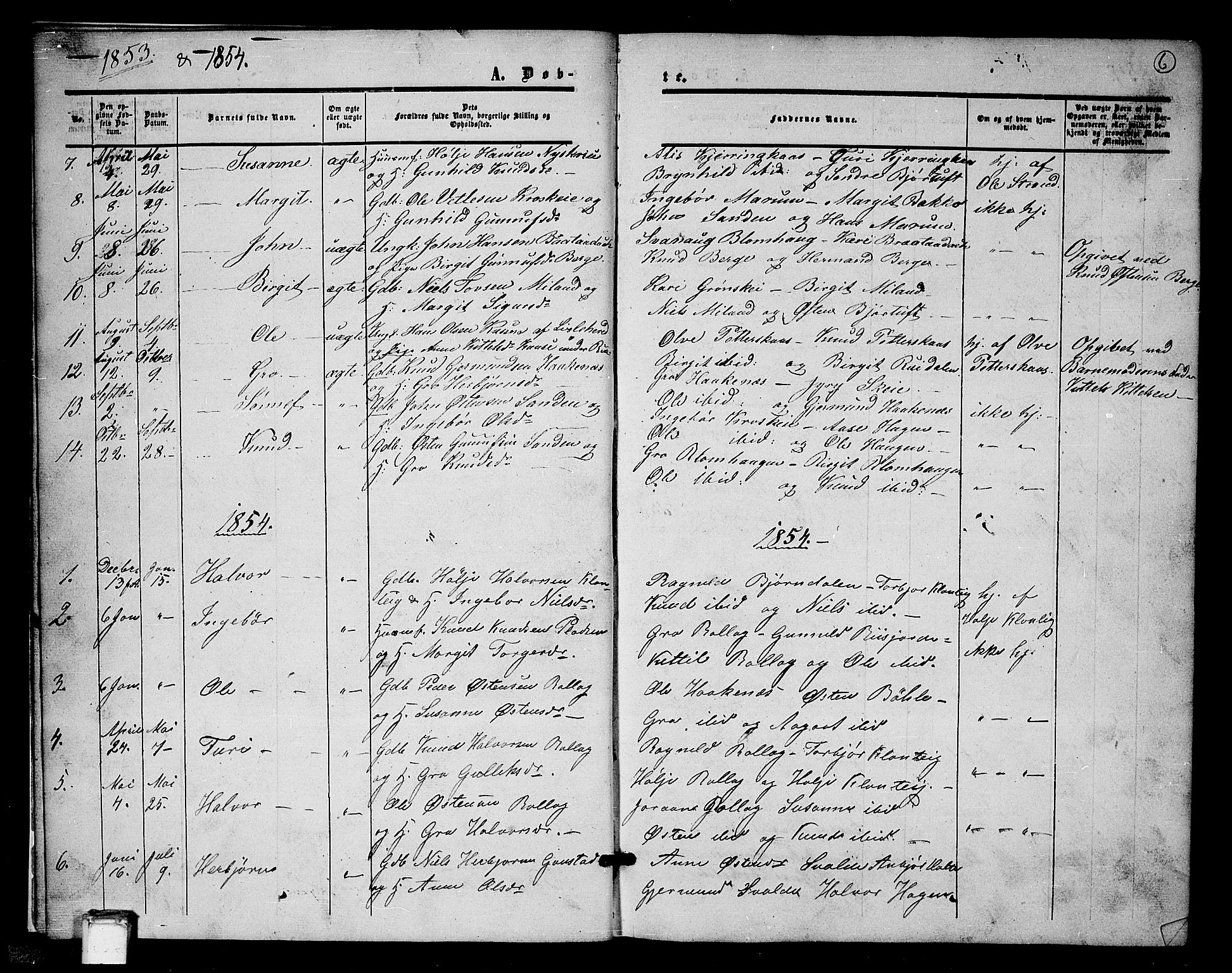 Tinn kirkebøker, SAKO/A-308/G/Gb/L0002: Parish register (copy) no. II 2, 1851-1886, p. 6