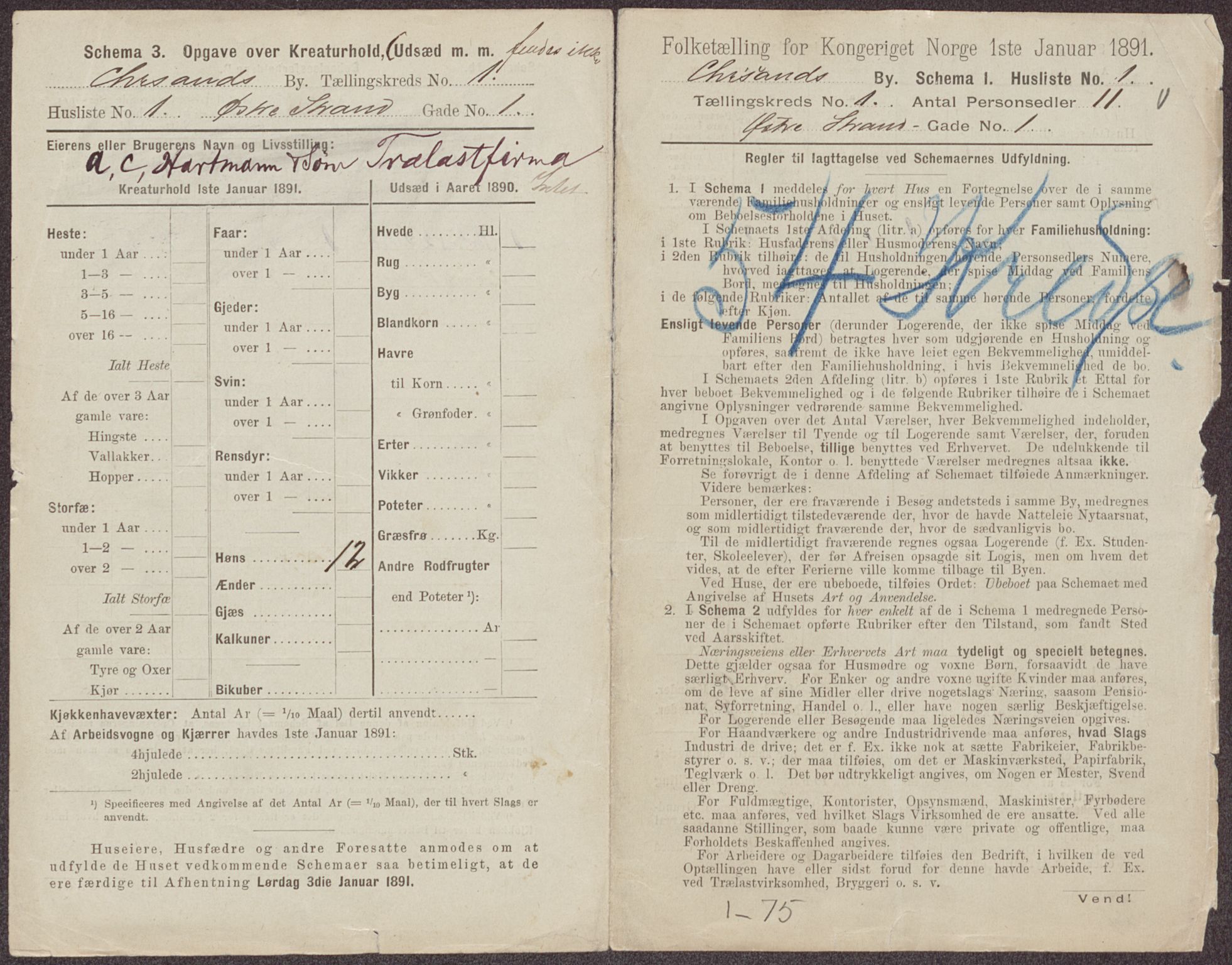 RA, 1891 census for 1001 Kristiansand, 1891, p. 118