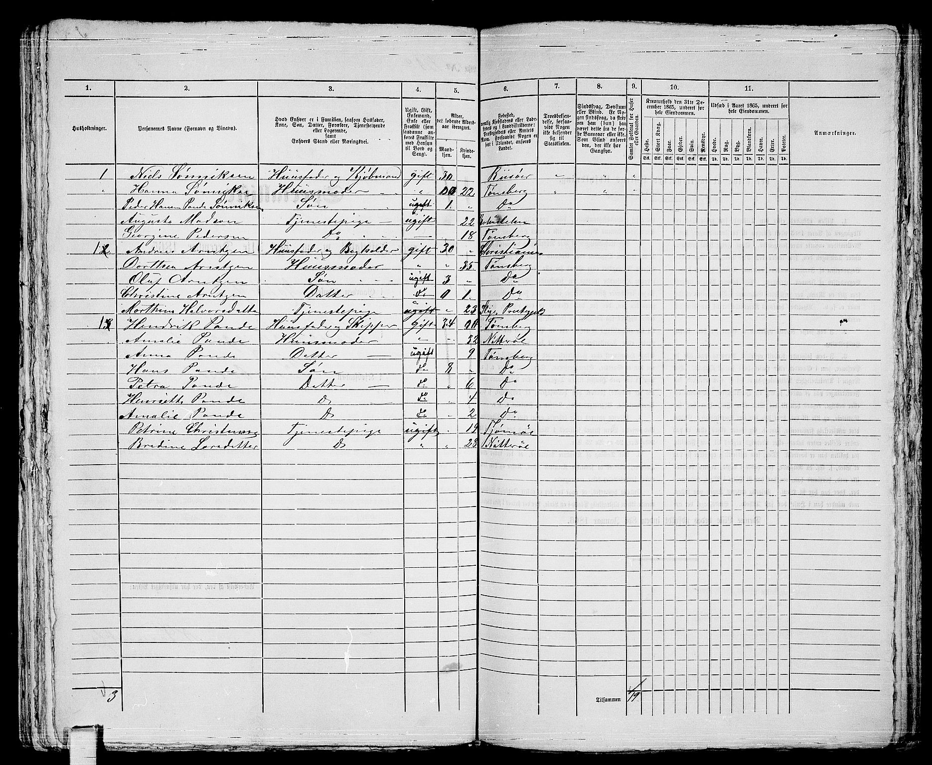 RA, 1865 census for Tønsberg, 1865, p. 266