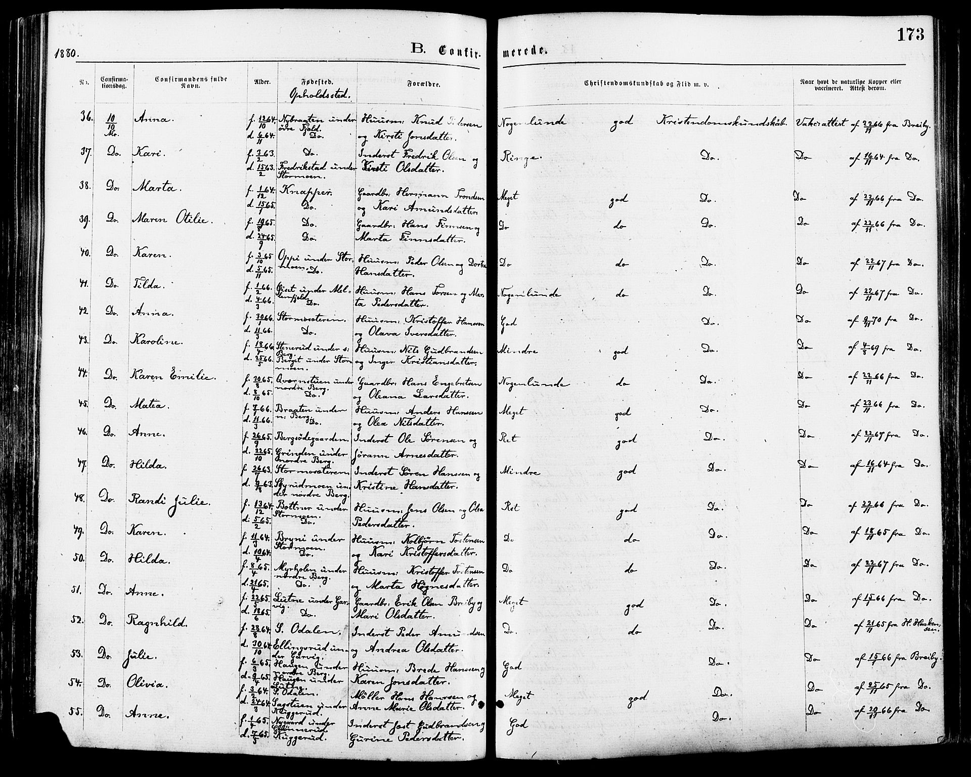 Nord-Odal prestekontor, SAH/PREST-032/H/Ha/Haa/L0005: Parish register (official) no. 5, 1874-1885, p. 173