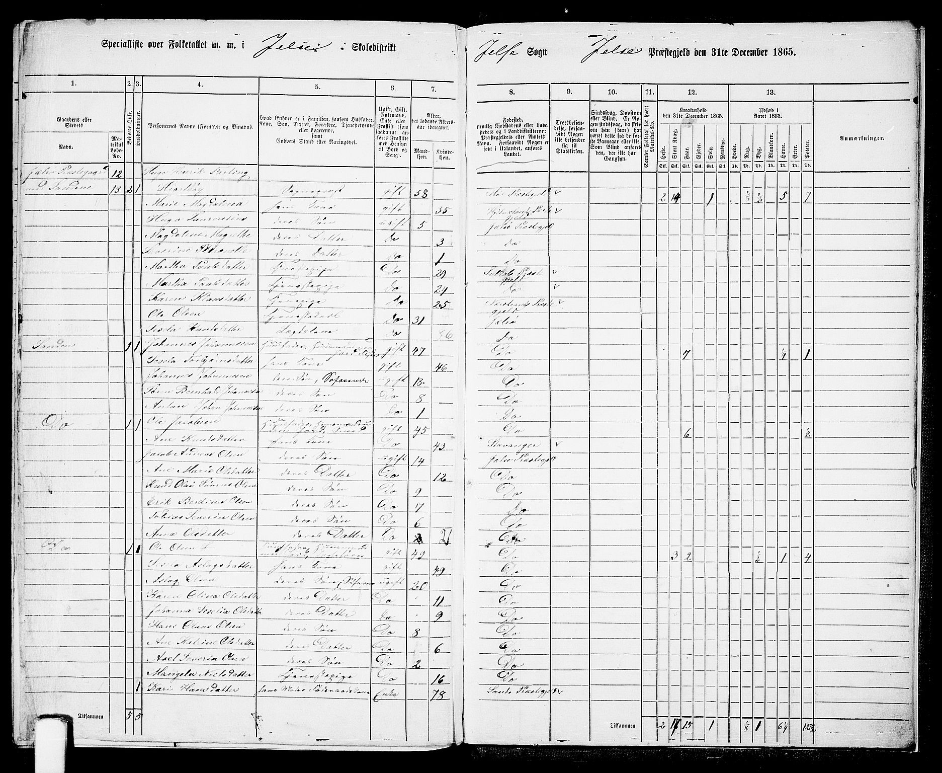 RA, 1865 census for Jelsa, 1865, p. 113