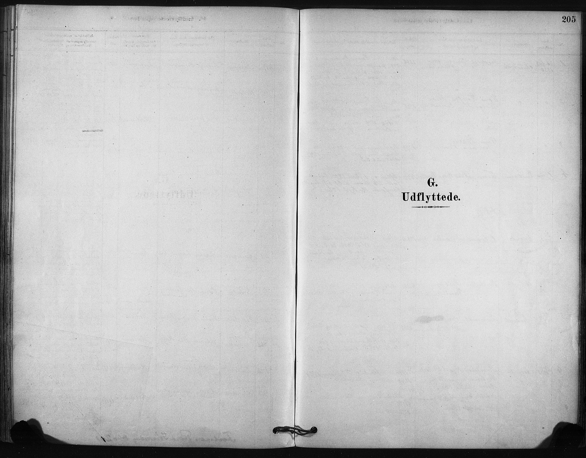 Ministerialprotokoller, klokkerbøker og fødselsregistre - Nordland, SAT/A-1459/807/L0122: Parish register (official) no. 807A05, 1880-1902, p. 205