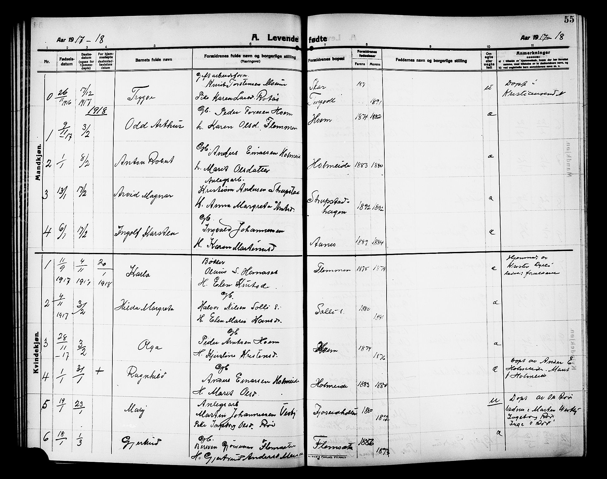 Ministerialprotokoller, klokkerbøker og fødselsregistre - Møre og Romsdal, AV/SAT-A-1454/586/L0993: Parish register (copy) no. 586C04, 1910-1918, p. 55