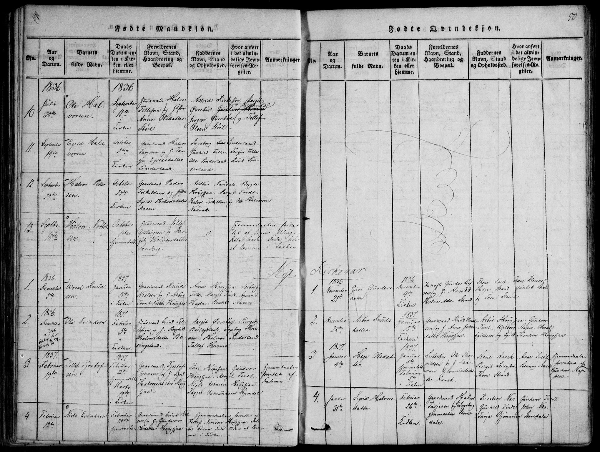 Nissedal kirkebøker, SAKO/A-288/F/Fb/L0001: Parish register (official) no. II 1, 1814-1845, p. 50