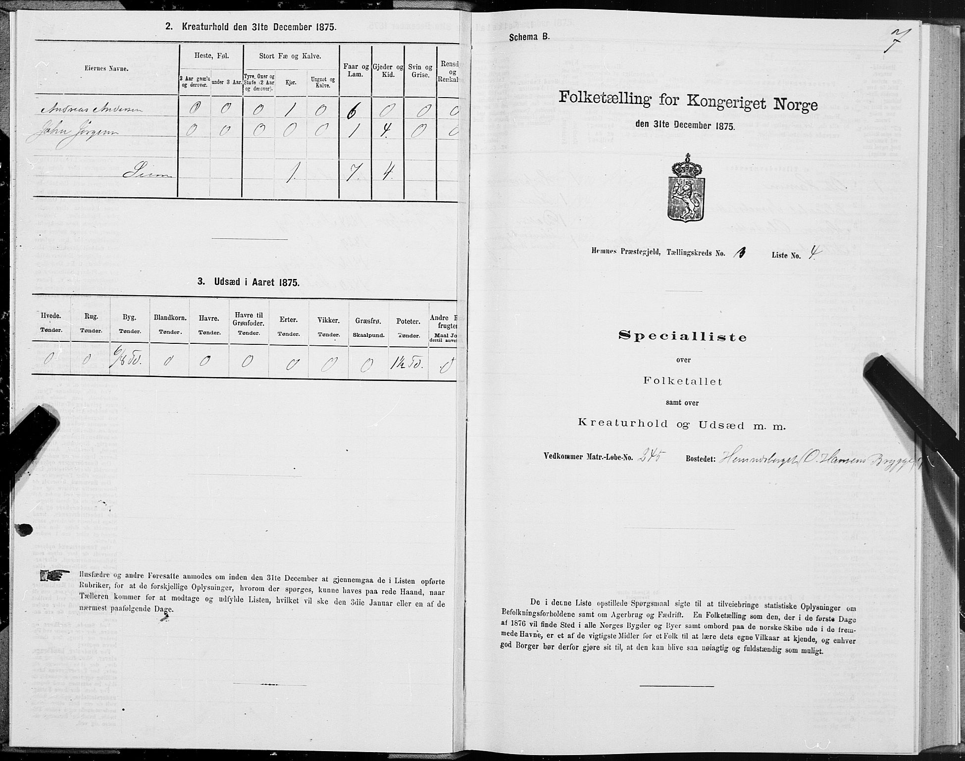 SAT, 1875 census for 1832P Hemnes, 1875, p. 2007