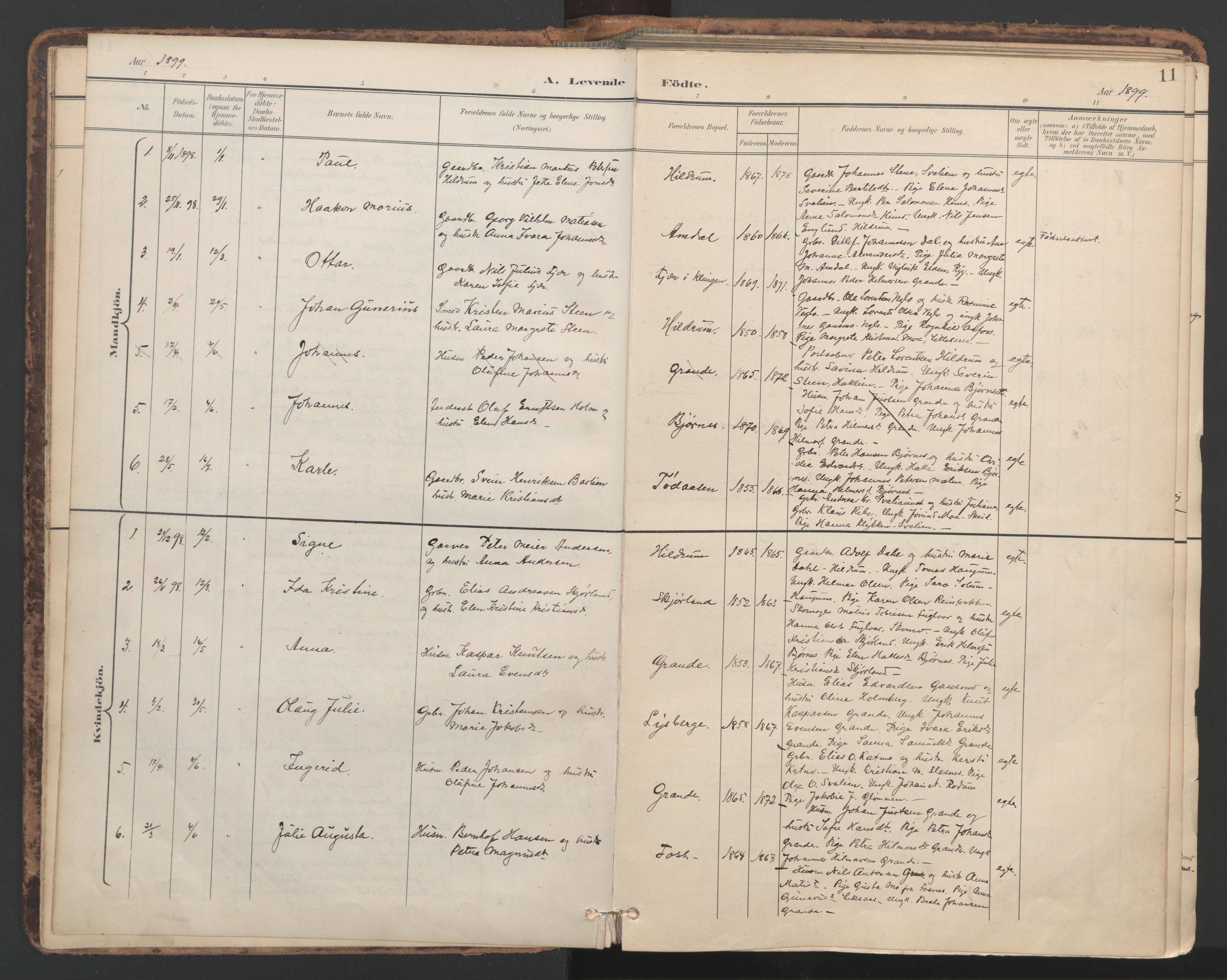 Ministerialprotokoller, klokkerbøker og fødselsregistre - Nord-Trøndelag, SAT/A-1458/764/L0556: Parish register (official) no. 764A11, 1897-1924, p. 11