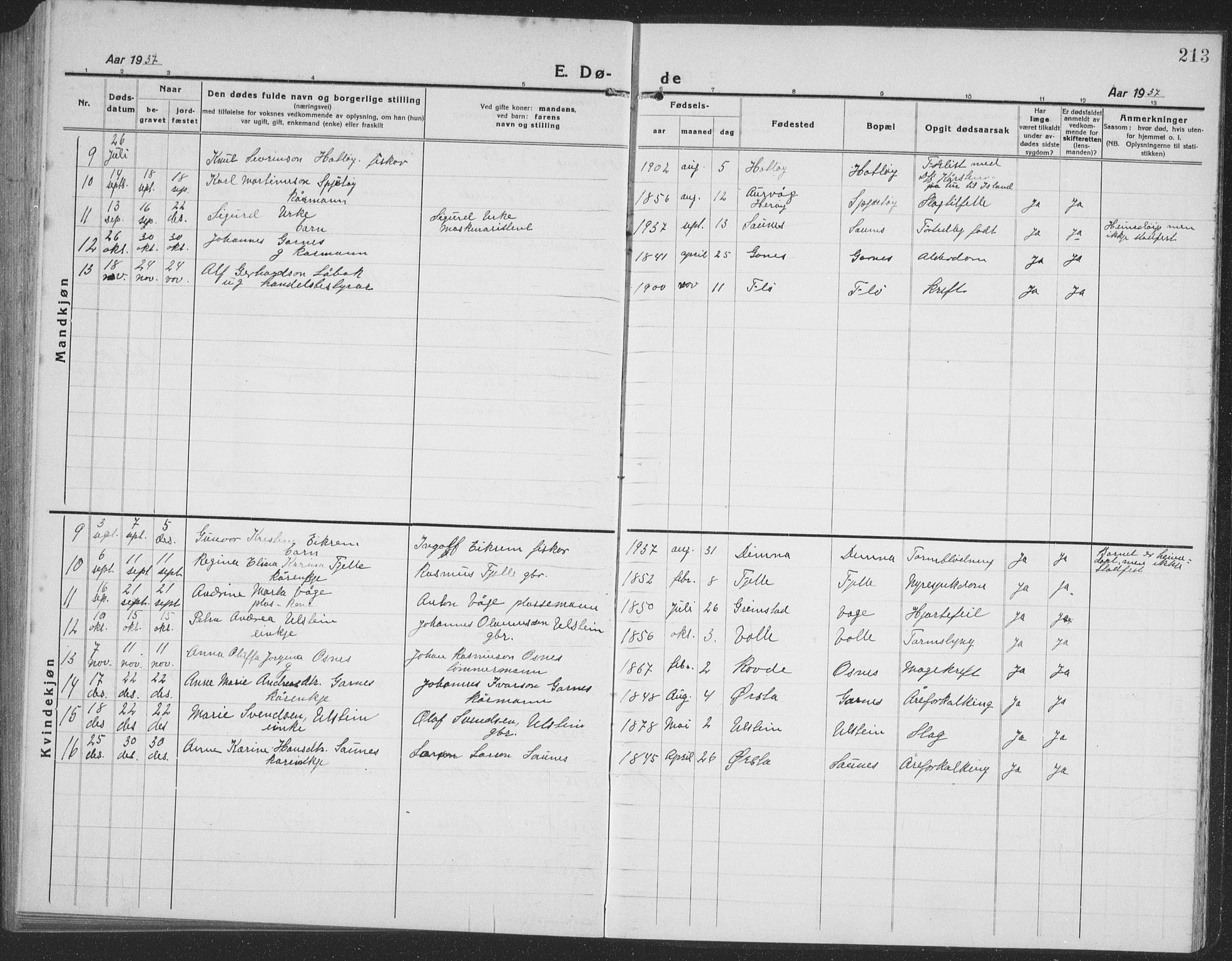 Ministerialprotokoller, klokkerbøker og fødselsregistre - Møre og Romsdal, SAT/A-1454/509/L0113: Parish register (copy) no. 509C03, 1923-1939, p. 213