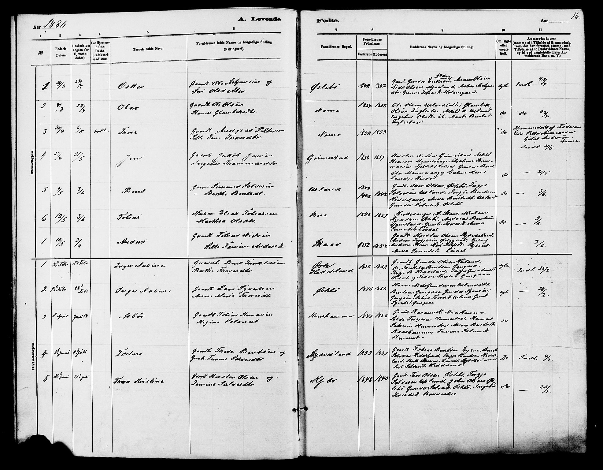 Holum sokneprestkontor, SAK/1111-0022/F/Fb/Fbc/L0003: Parish register (copy) no. B 3, 1882-1908, p. 16