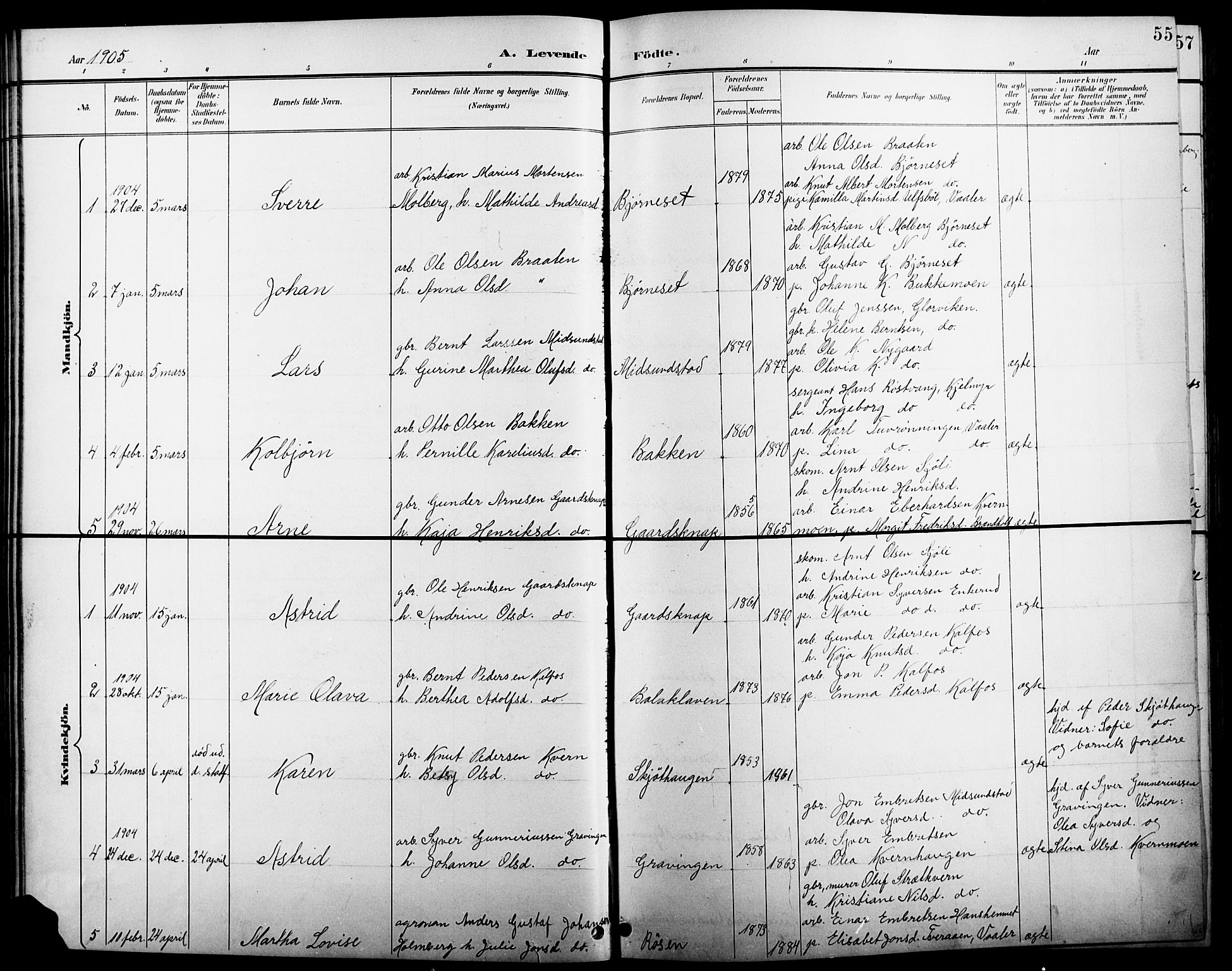 Åsnes prestekontor, AV/SAH-PREST-042/H/Ha/Hab/L0005: Parish register (copy) no. 5, 1895-1920, p. 55