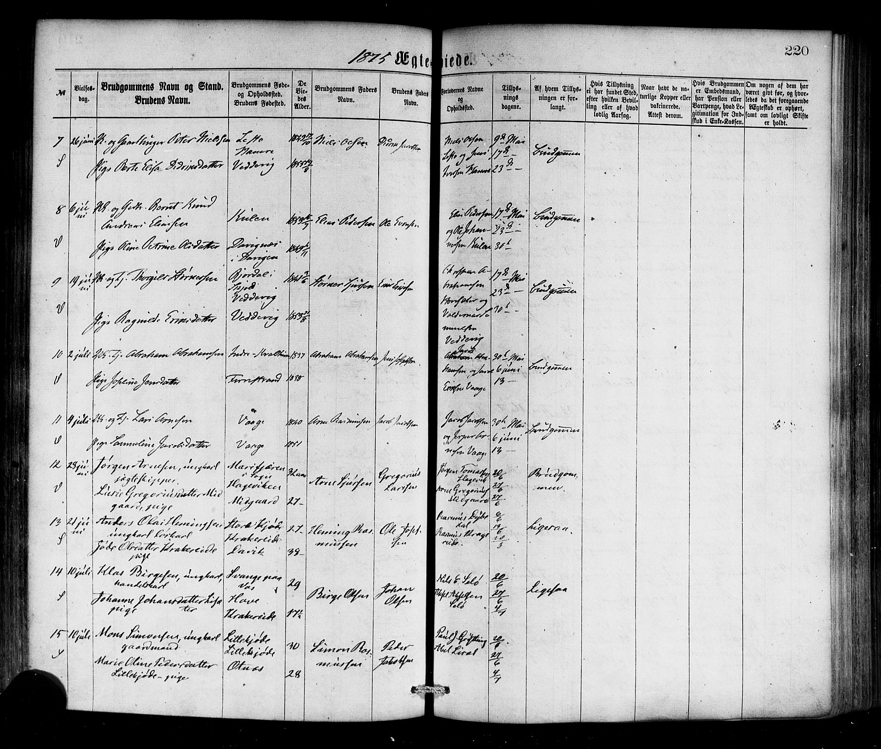 Selje sokneprestembete, SAB/A-99938/H/Ha/Haa/Haaa: Parish register (official) no. A 12, 1870-1880, p. 220