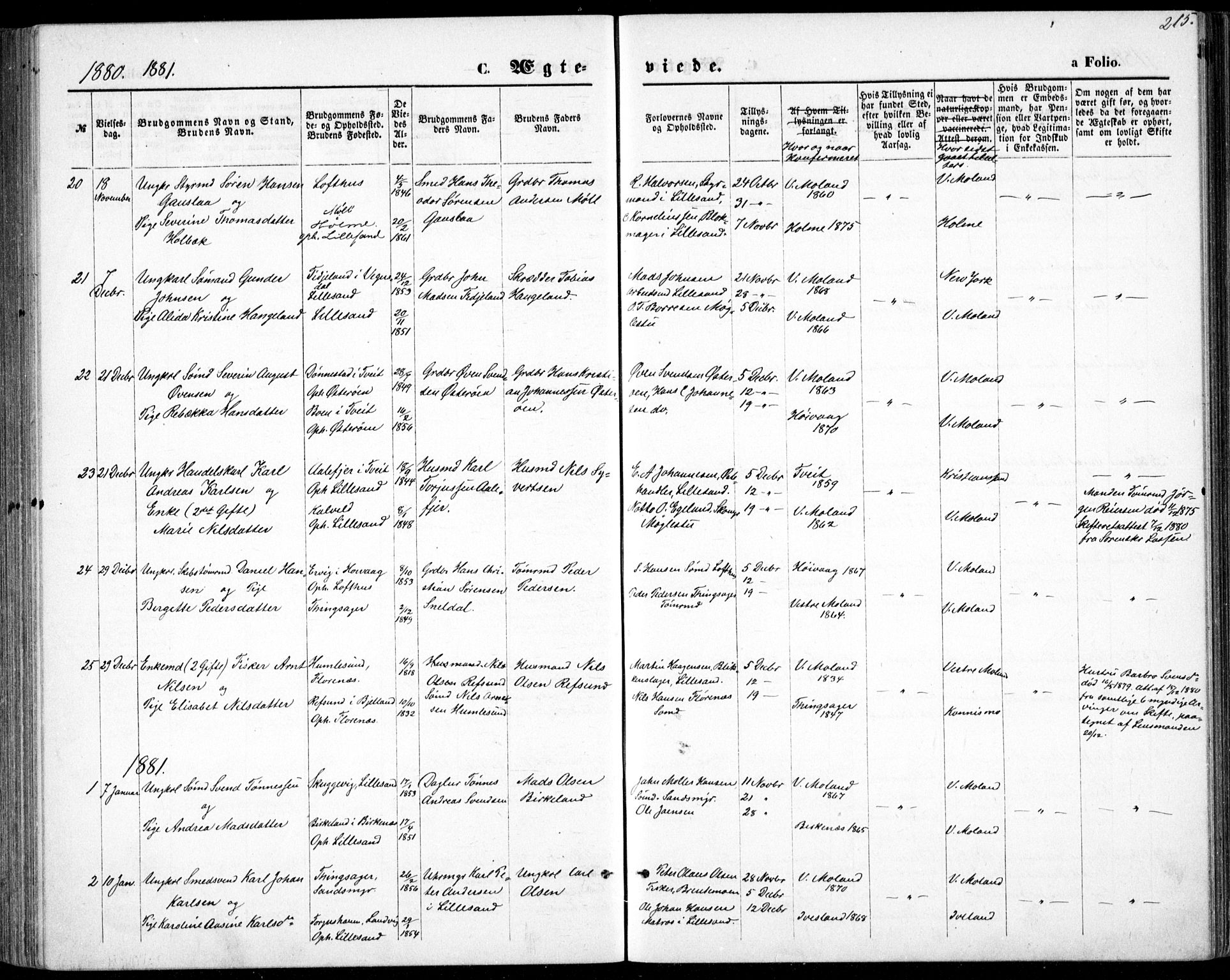 Vestre Moland sokneprestkontor, AV/SAK-1111-0046/F/Fb/Fbb/L0005: Parish register (copy) no. B 5, 1872-1883, p. 215