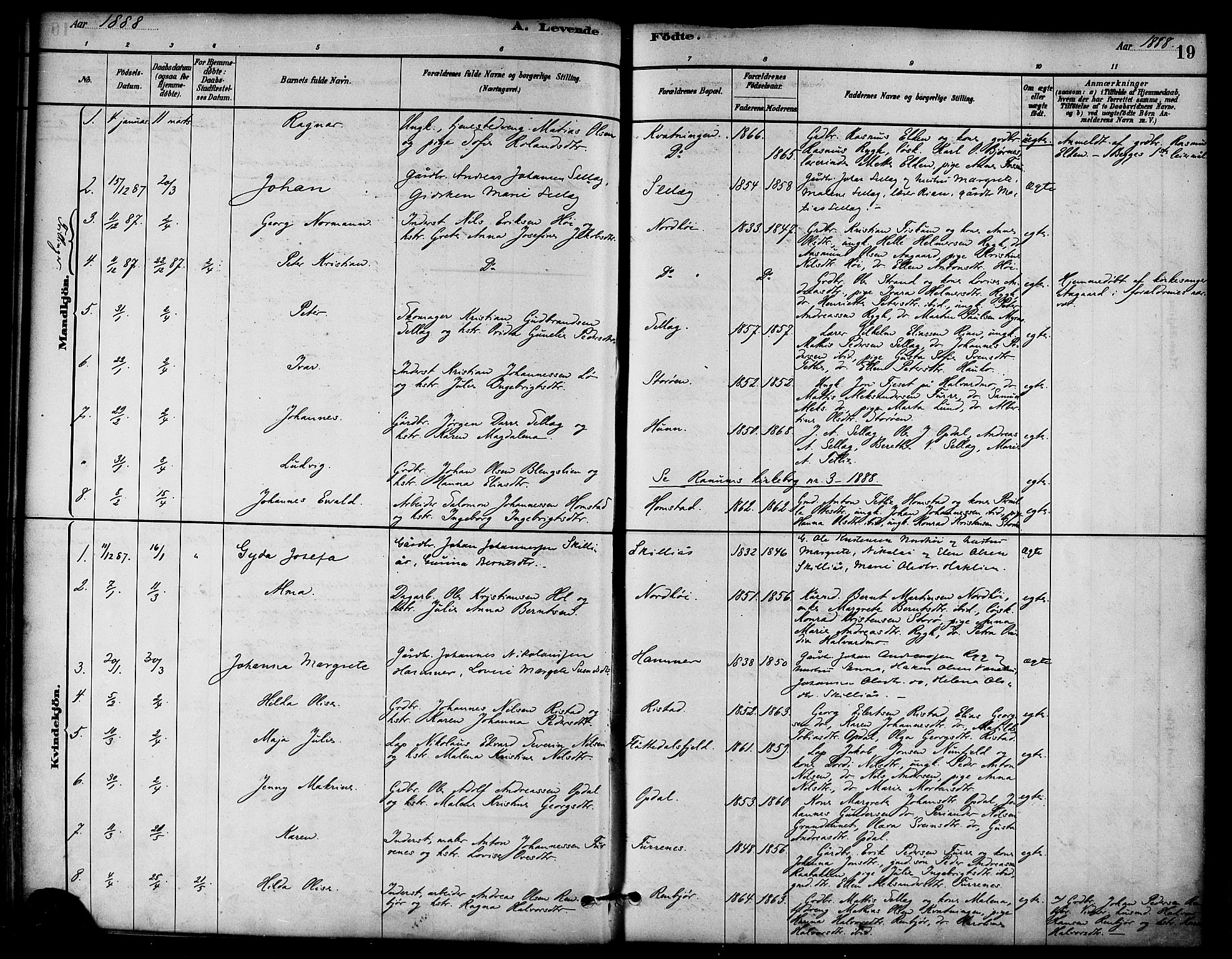 Ministerialprotokoller, klokkerbøker og fødselsregistre - Nord-Trøndelag, AV/SAT-A-1458/766/L0563: Parish register (official) no. 767A01, 1881-1899, p. 19